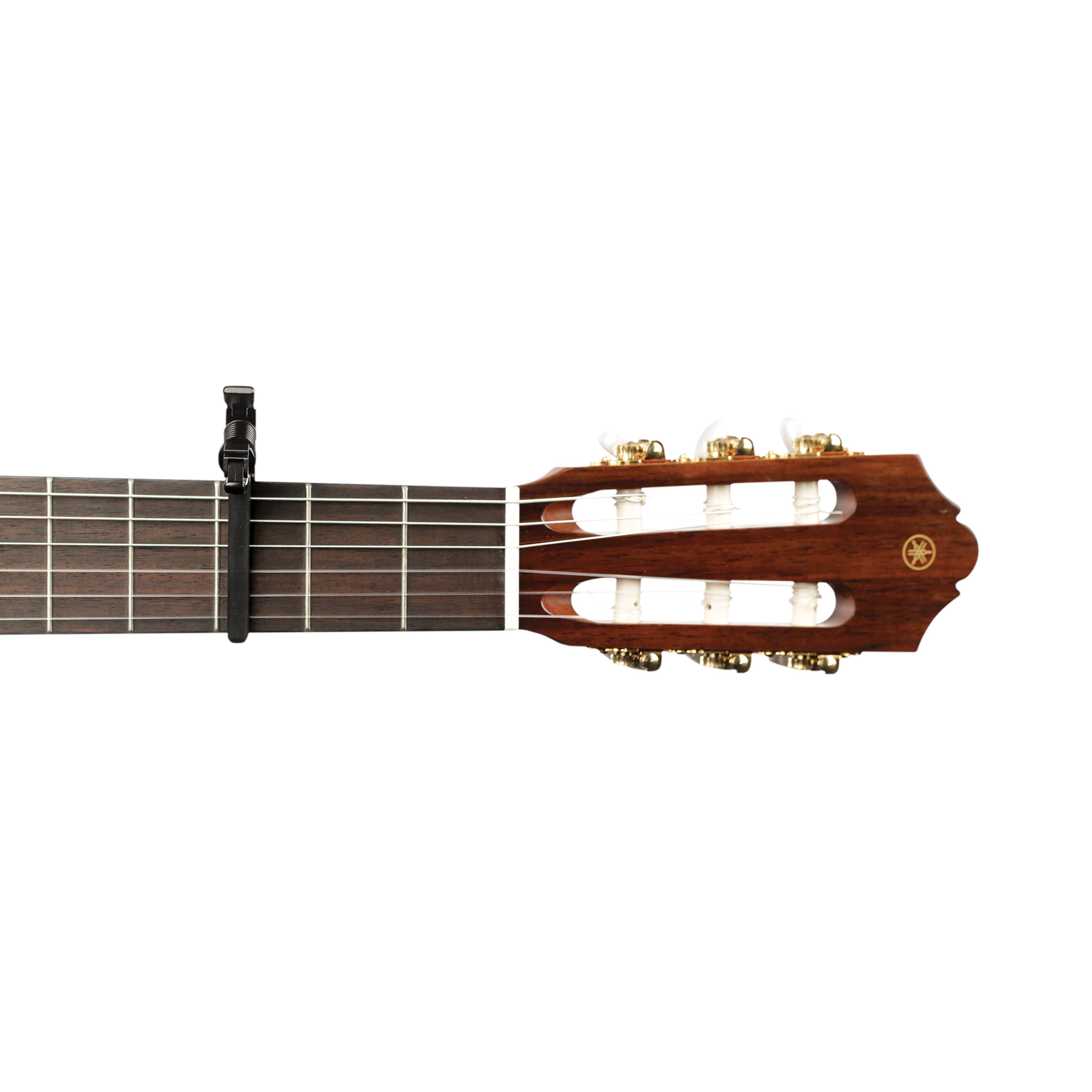 Other Cover Image Artist Classical Capo