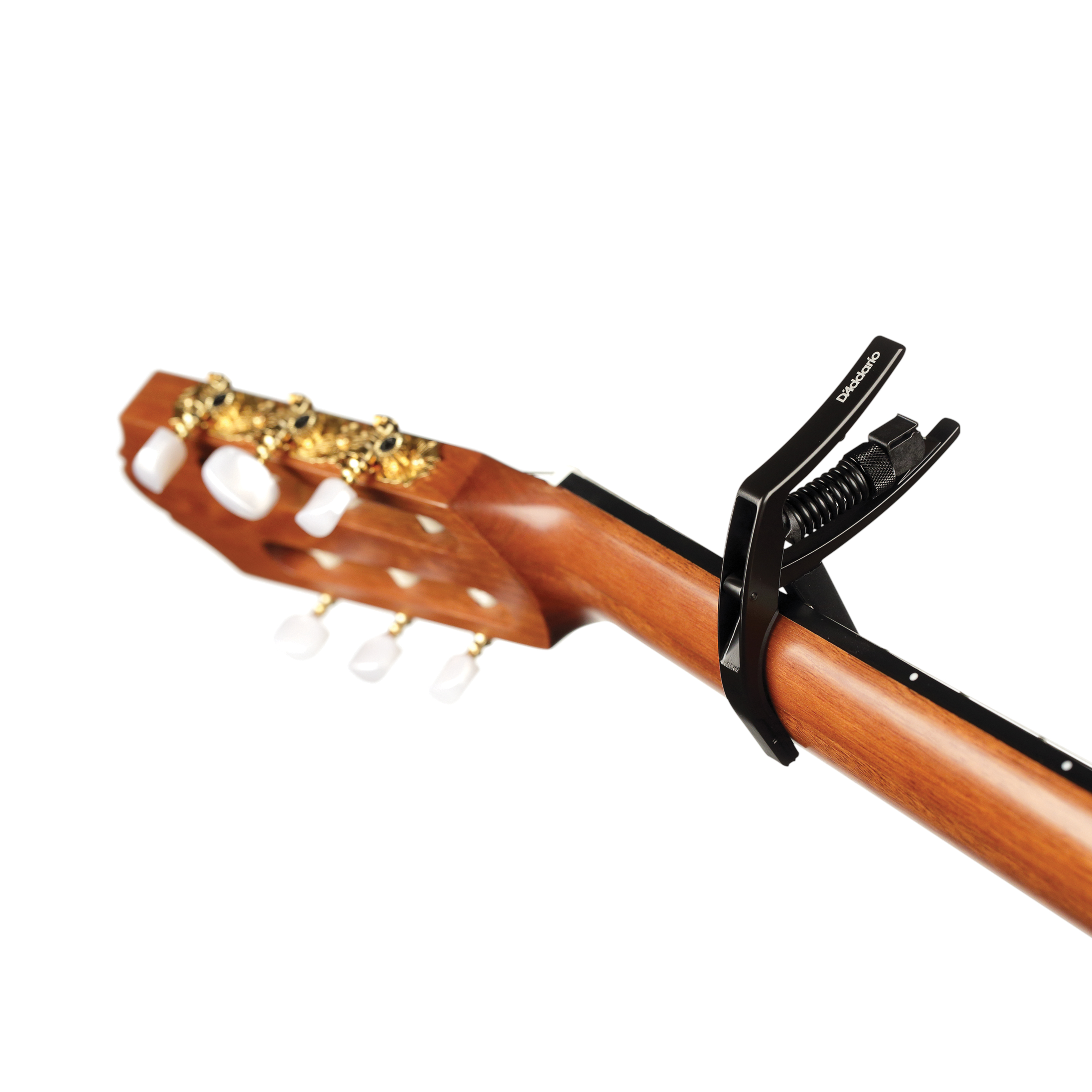 Other Cover Image Artist Classical Capo