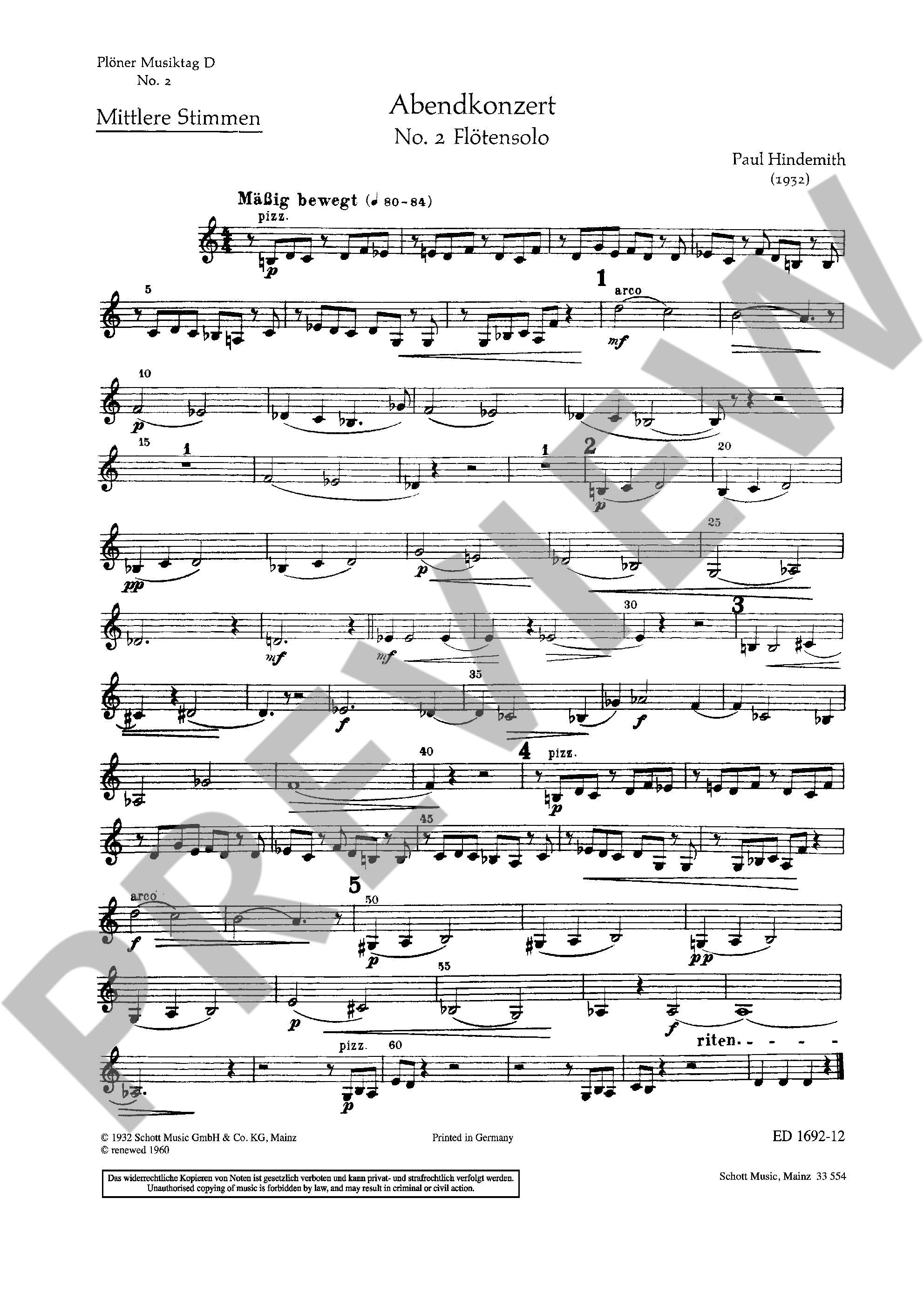Other Cover Image Plöner Musiktag 