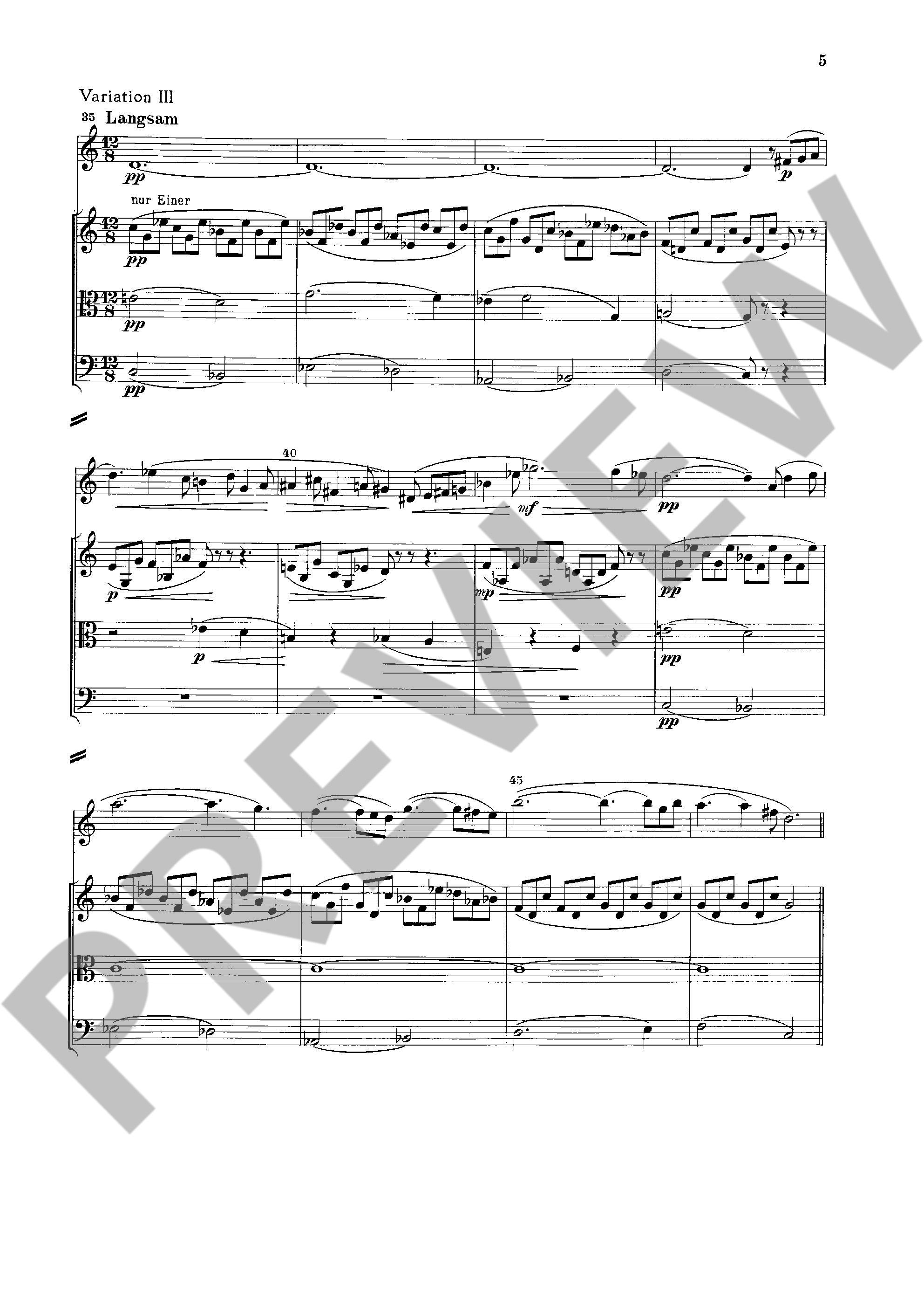 Other Cover Image Plöner Musiktag 