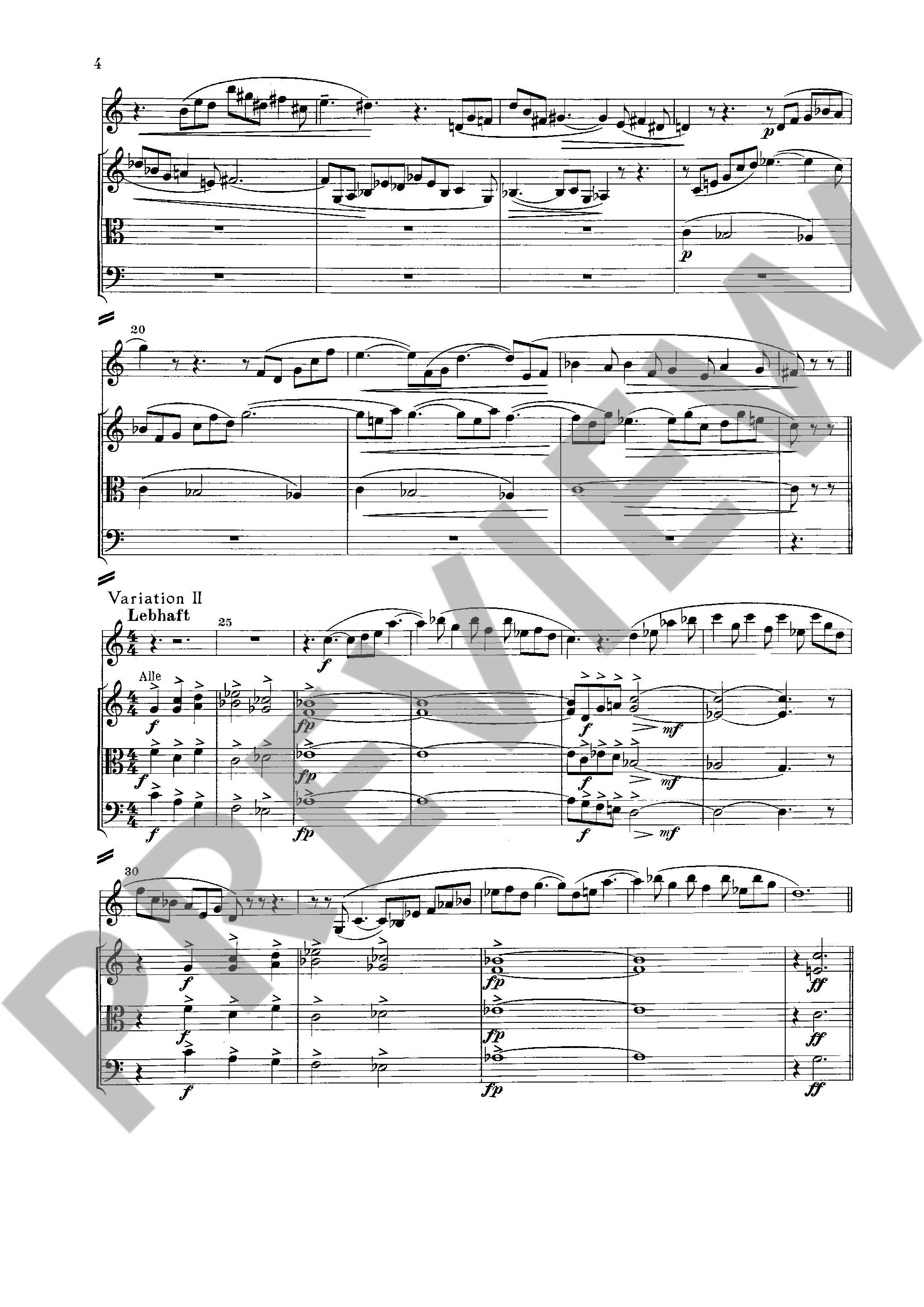 Other Cover Image Plöner Musiktag 