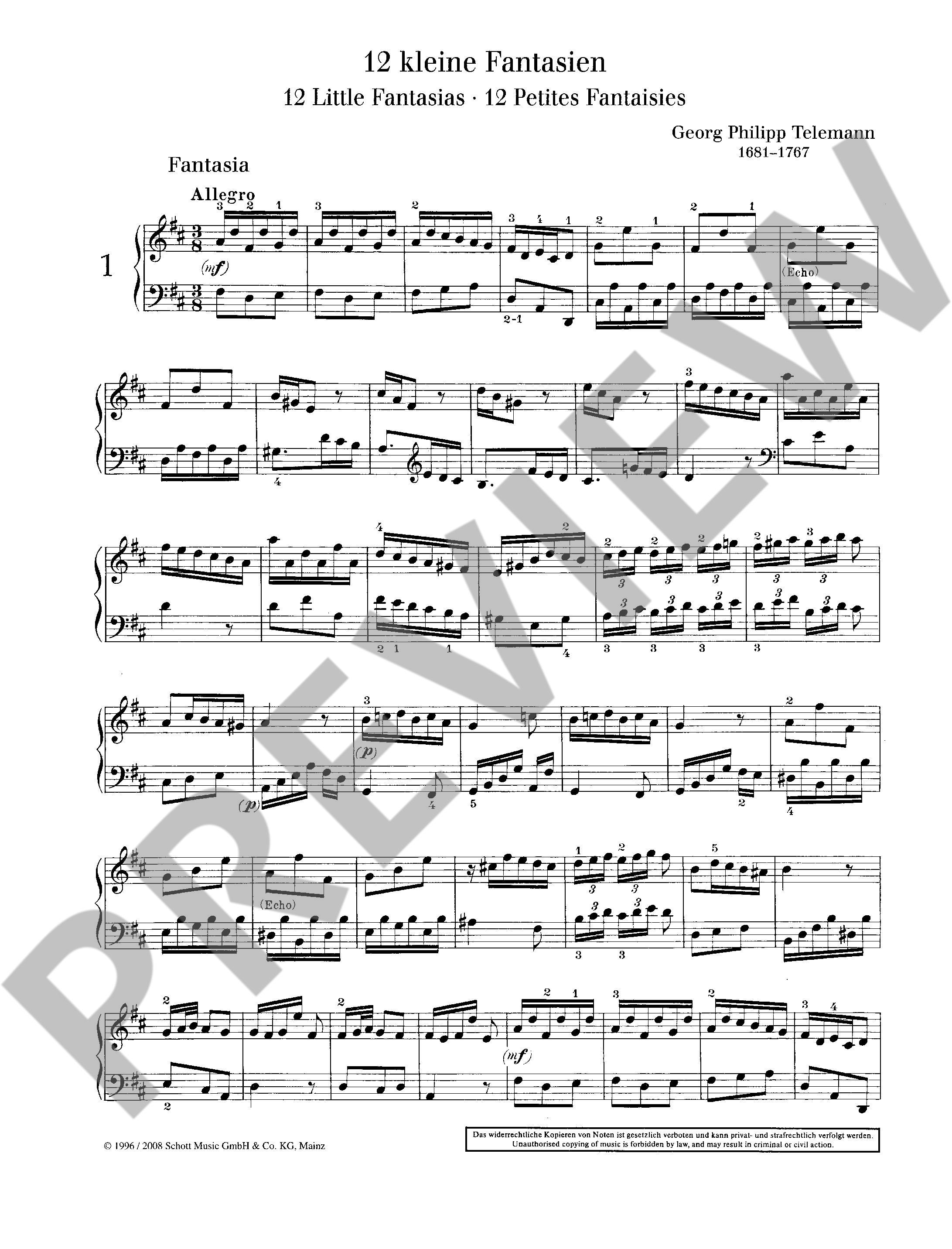 Other Cover Image 12 kleine Fantasien 