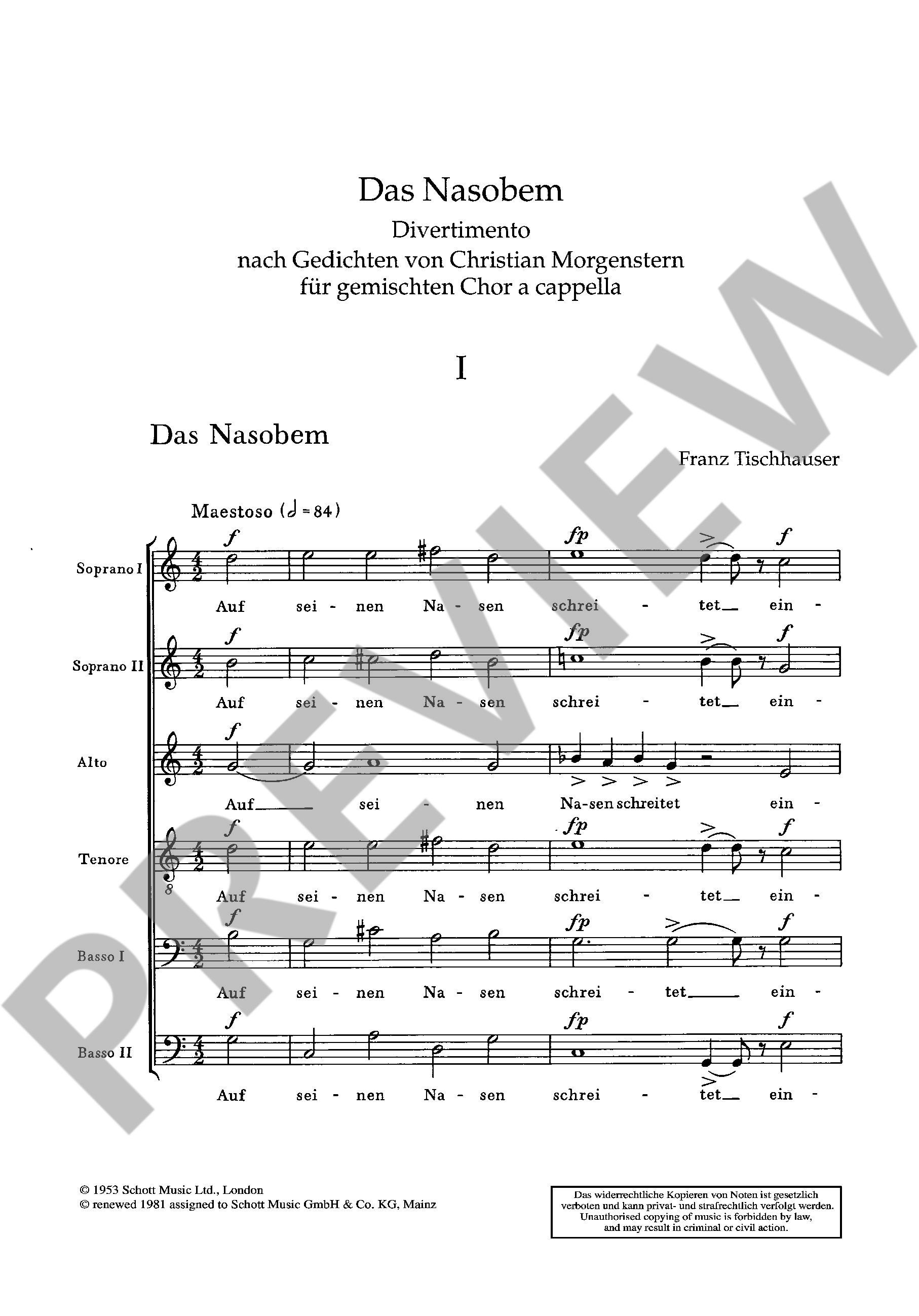 Other Cover Image Das Nasobem 