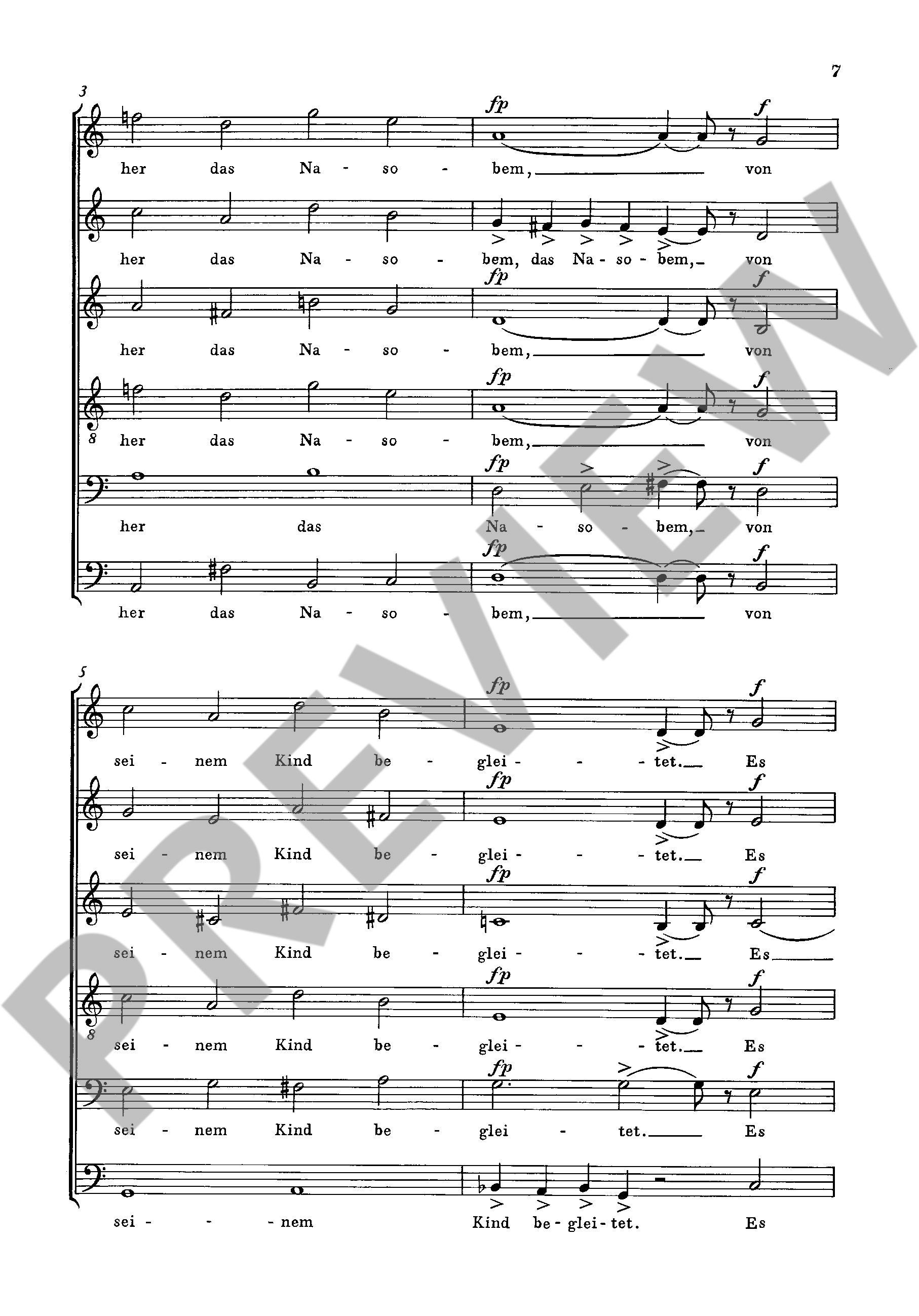 Other Cover Image Das Nasobem 