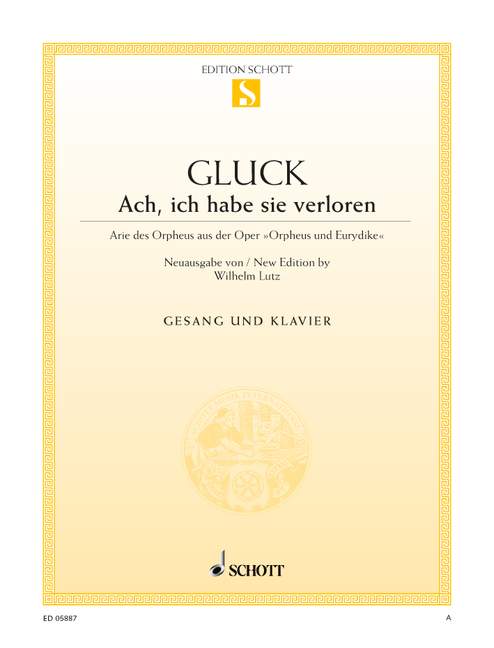 Front Cover Image Ach, ich habe sie verloren 