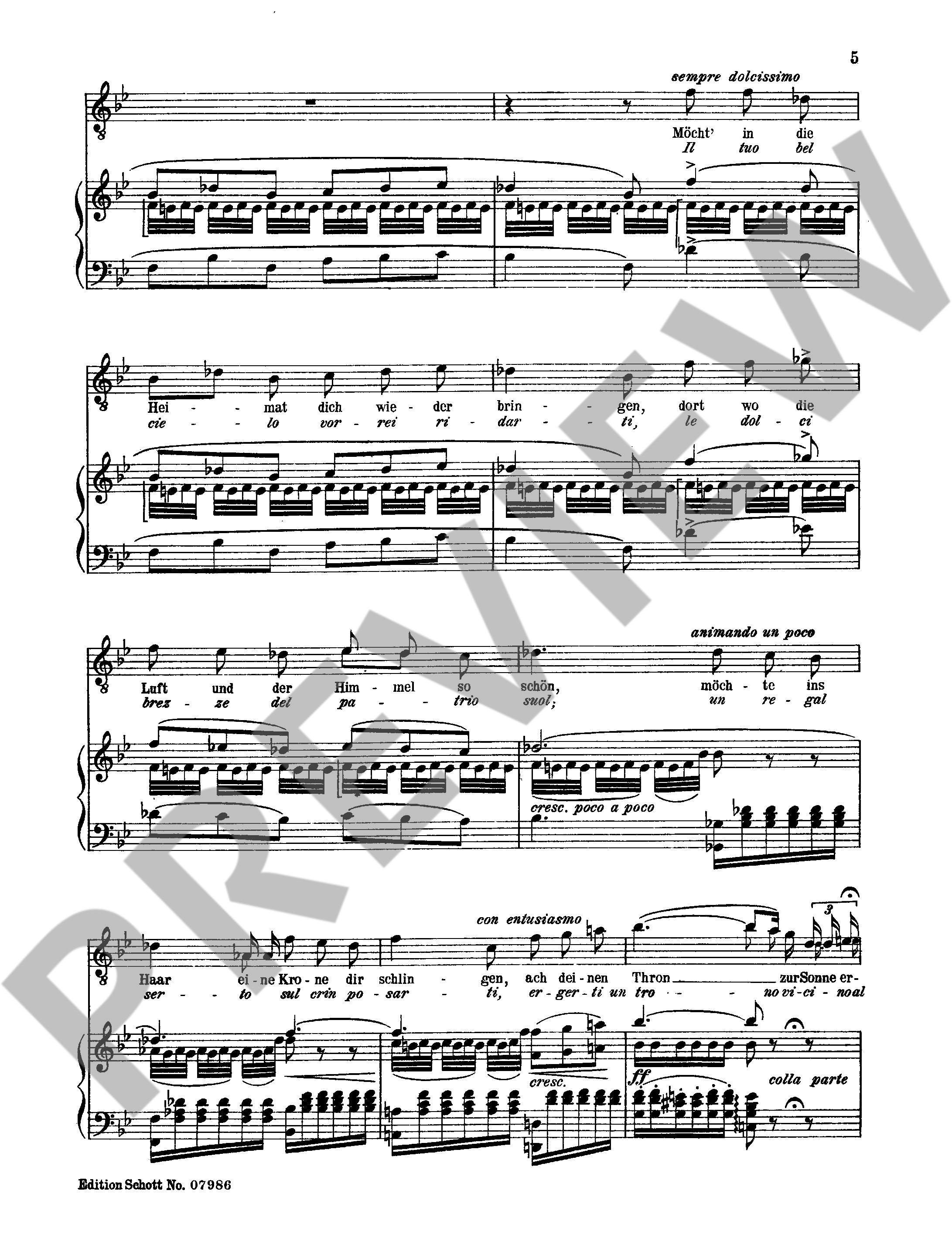 Other Cover Image Holde Aida 