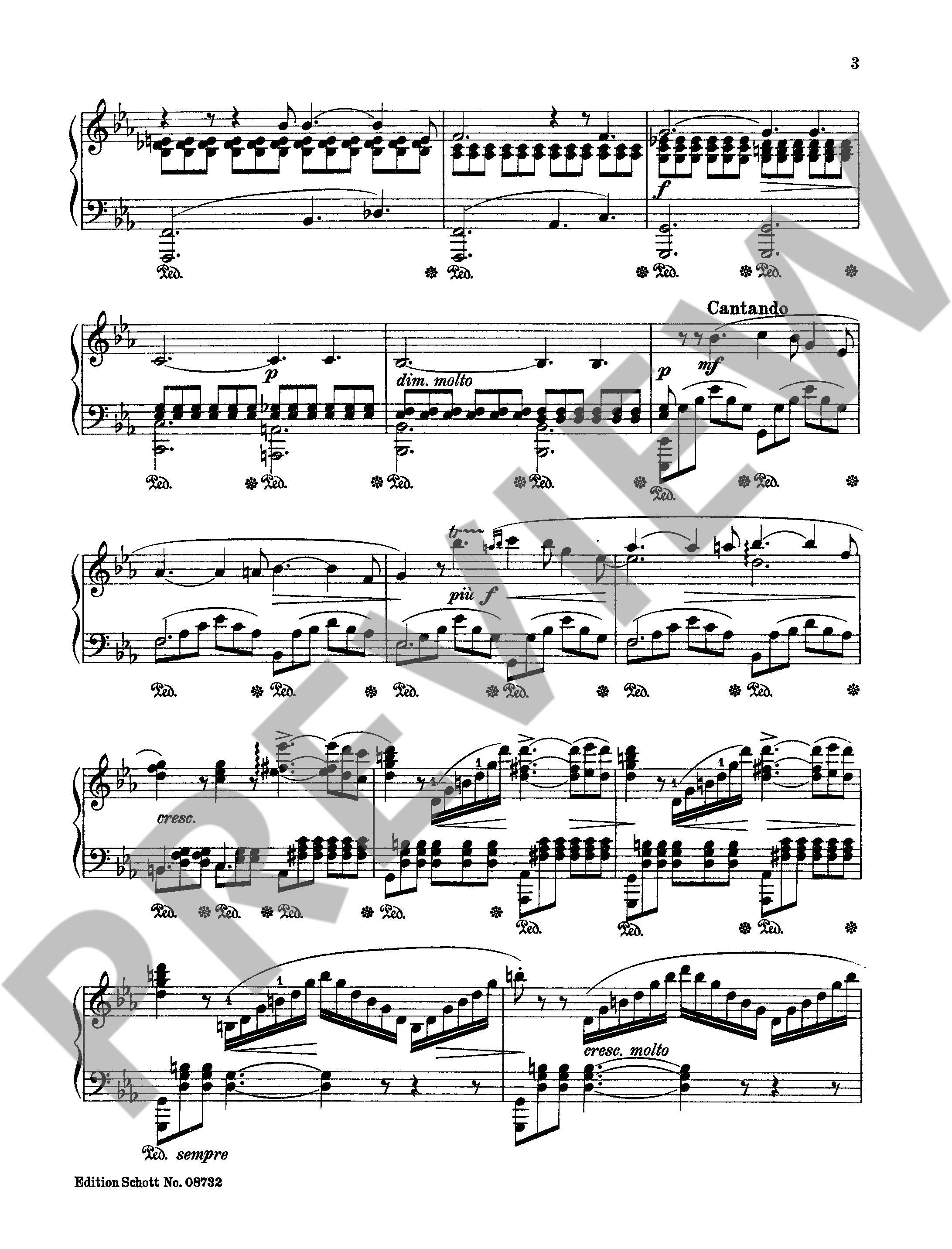 Other Cover Image Der Wanderer op. 90/7 