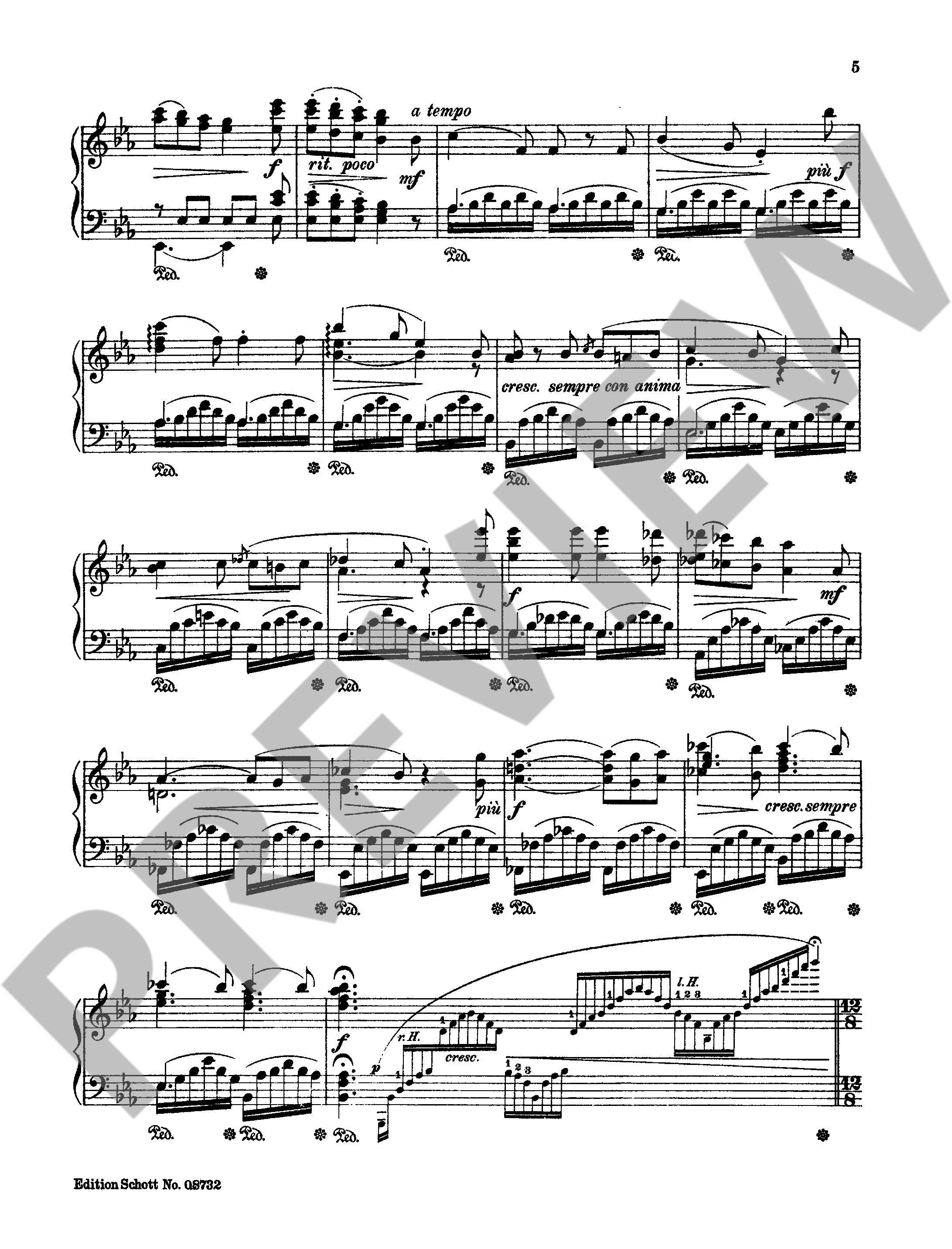 Other Cover Image Der Wanderer op. 90/7 