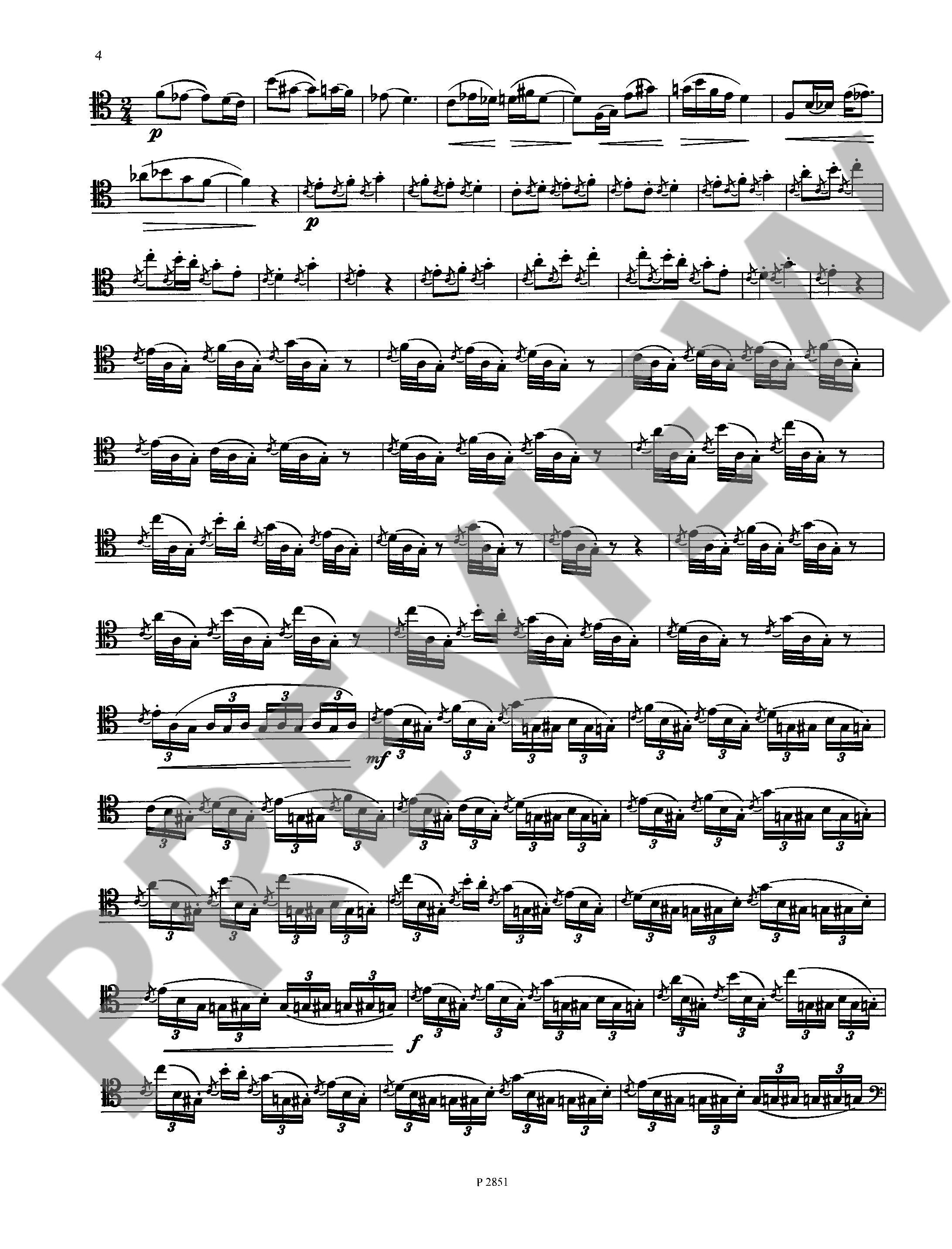 Other Cover Image Solo für Herrn Dulzian 