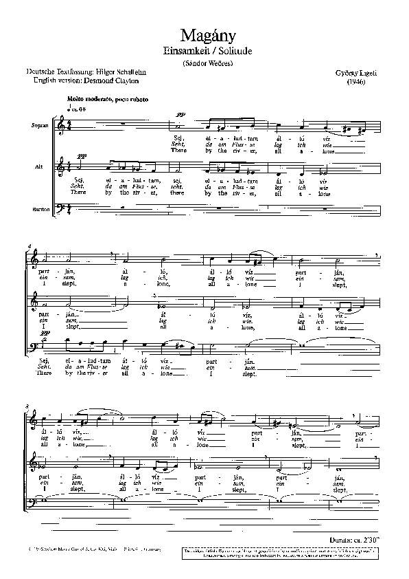 Other Cover Image Magány 
