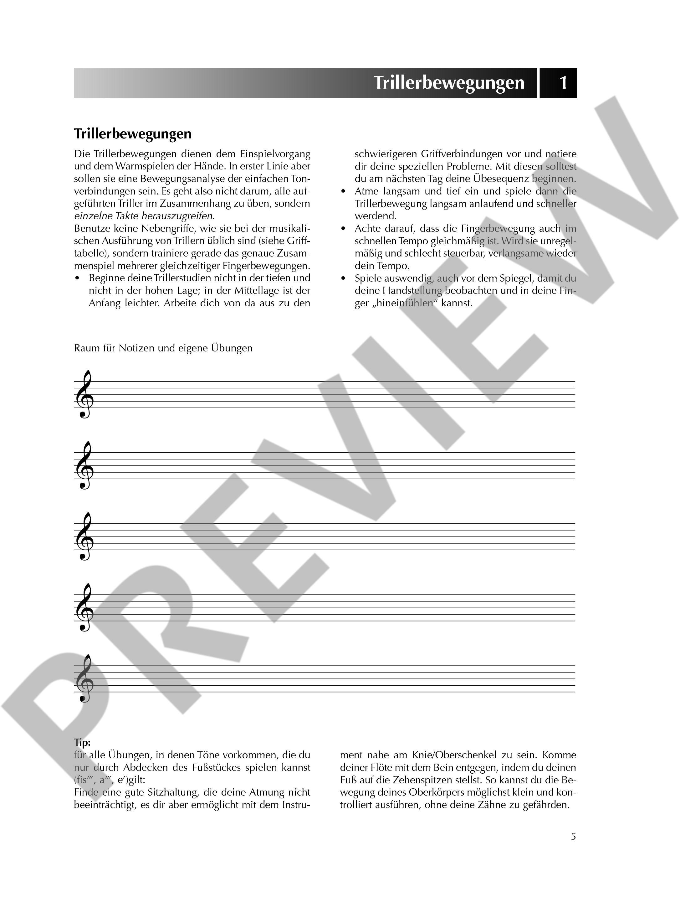 Other Cover Image Blockflötentechnik intensiv Band 1