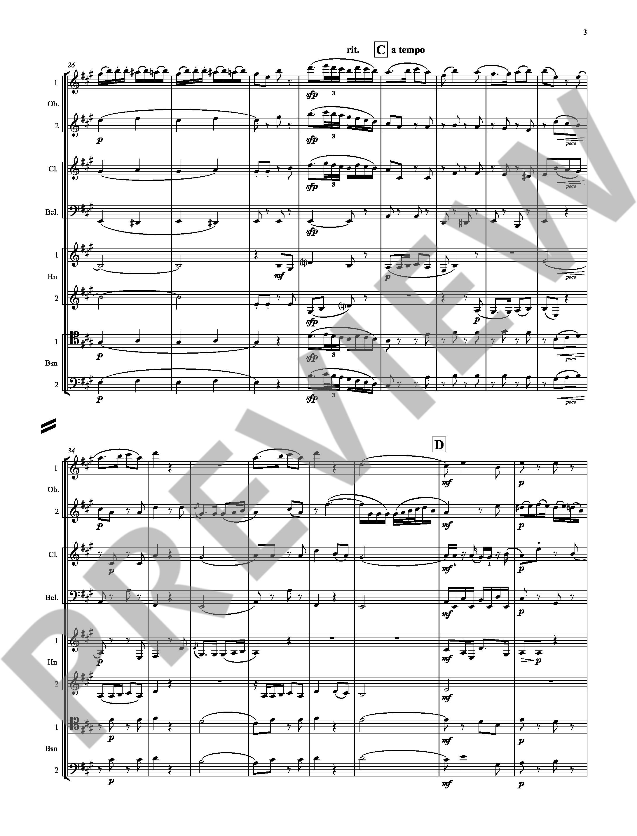 Other Cover Image Wolf-Gang 