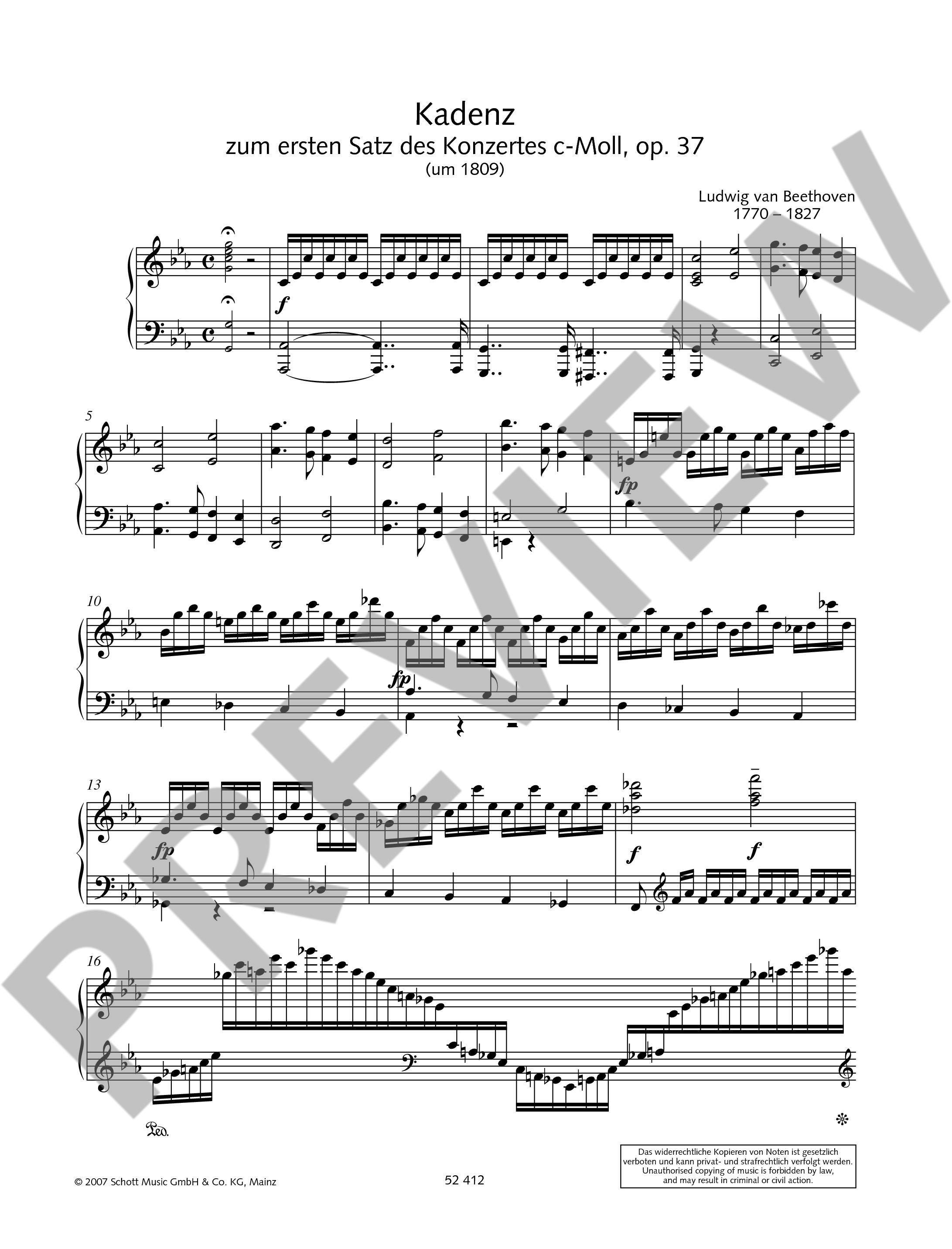 Other Cover Image Kadenzen Band 4
