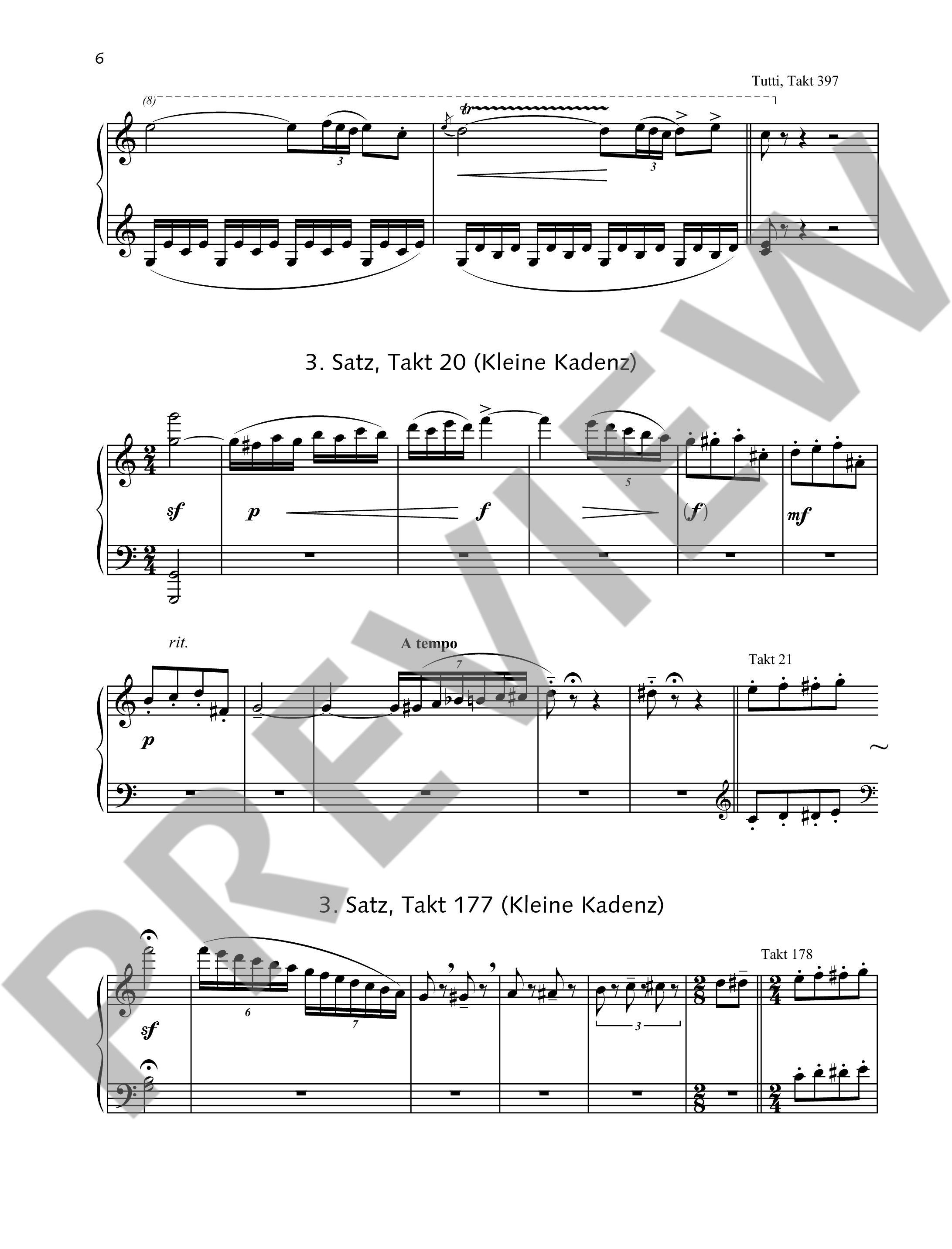 Other Cover Image Kadenzen Band 8
