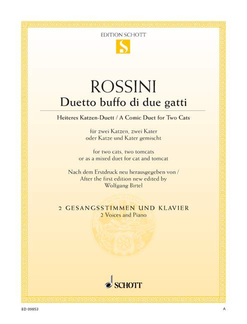 Front Cover Image Duetto buffo di due gatti 