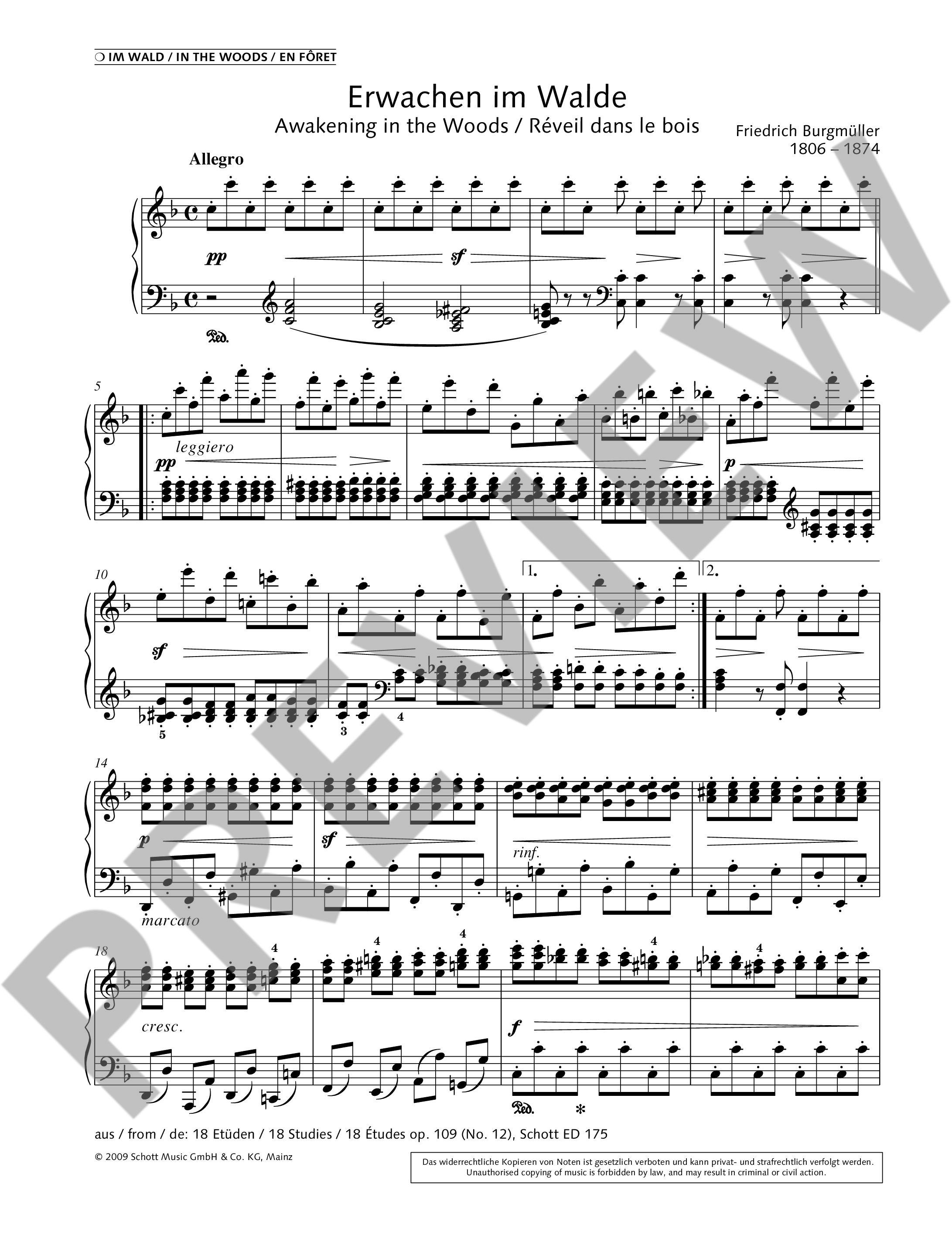 Other Cover Image Programmmusik 