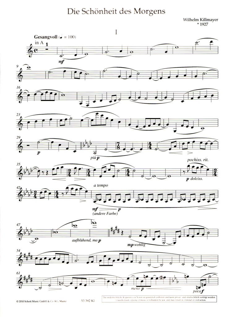 Other Cover Image Die Schönheit des Morgens 