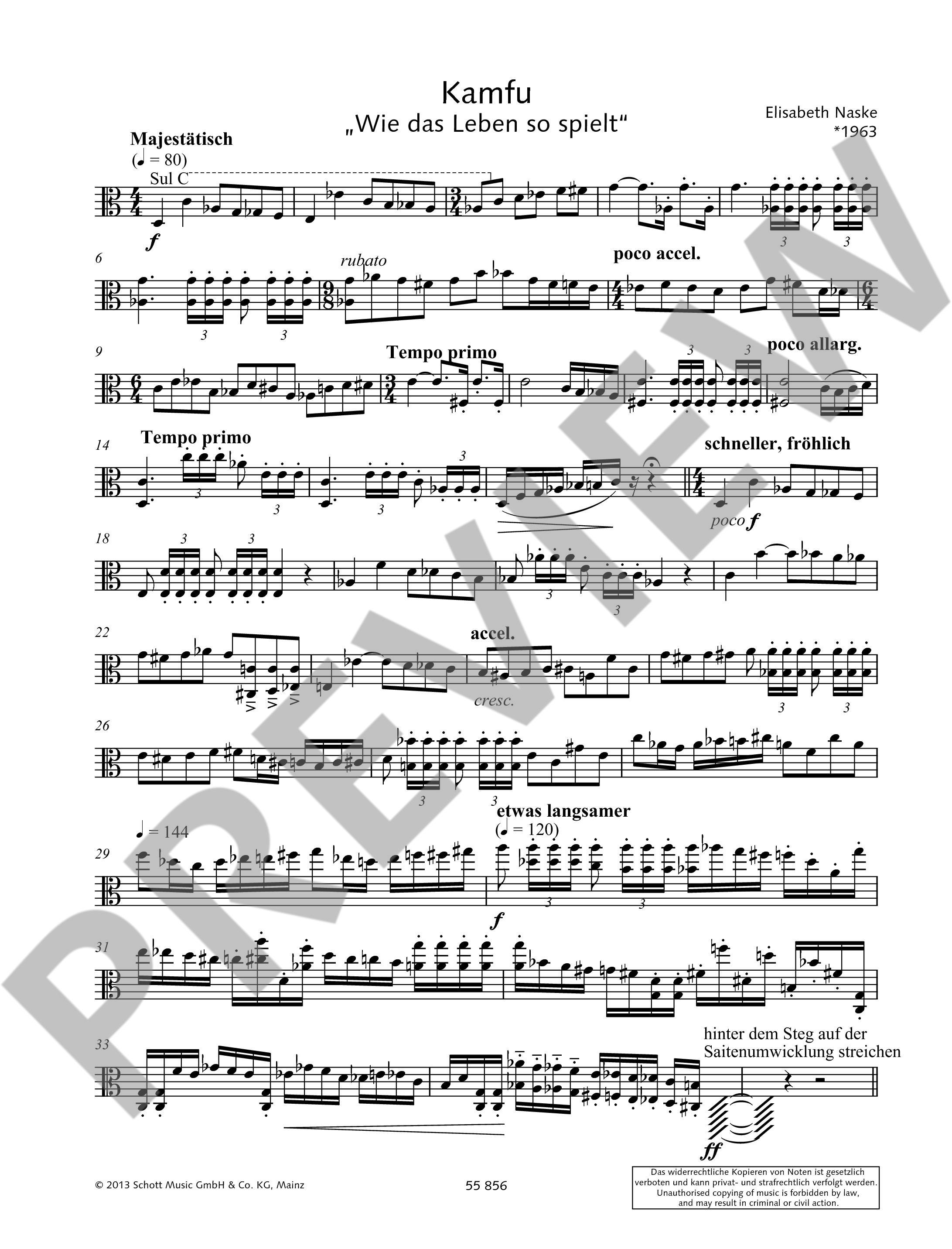 Other Cover Image Kamfu 