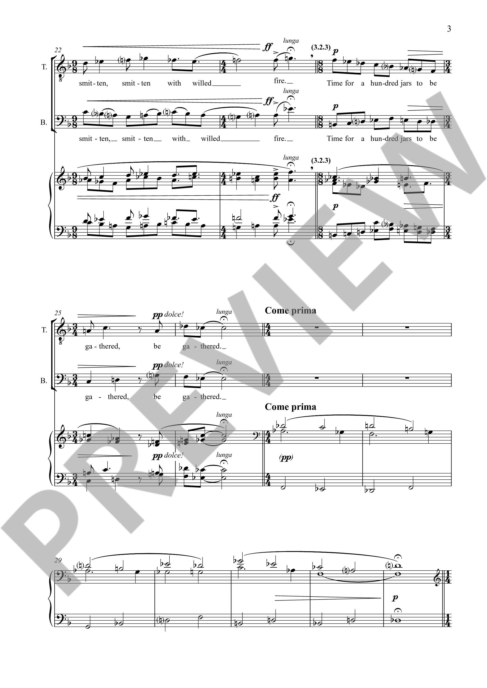 Other Cover Image The Golden Solstice op. 337 