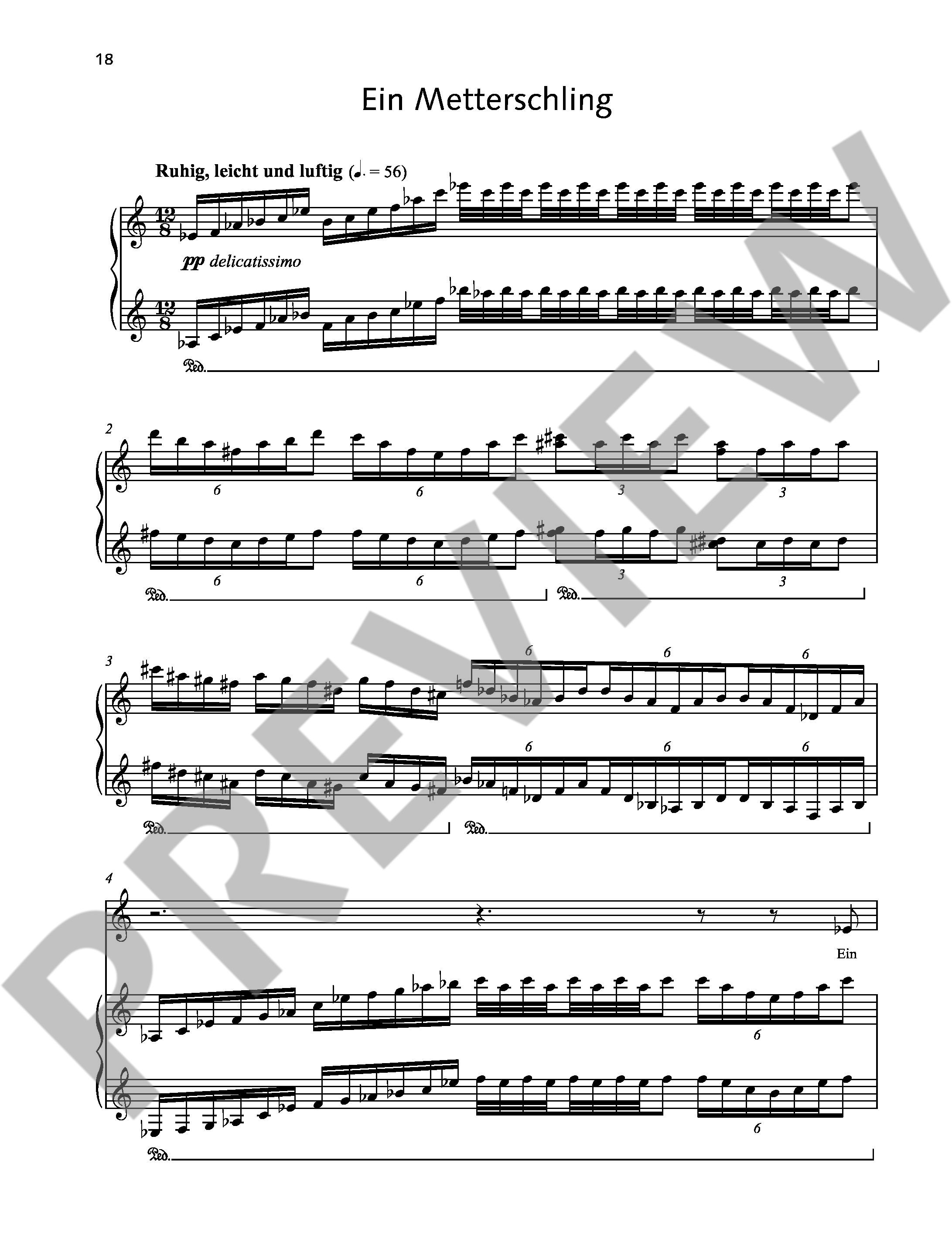 Other Cover Image Zwei Elefanten, die sich gut kannten 