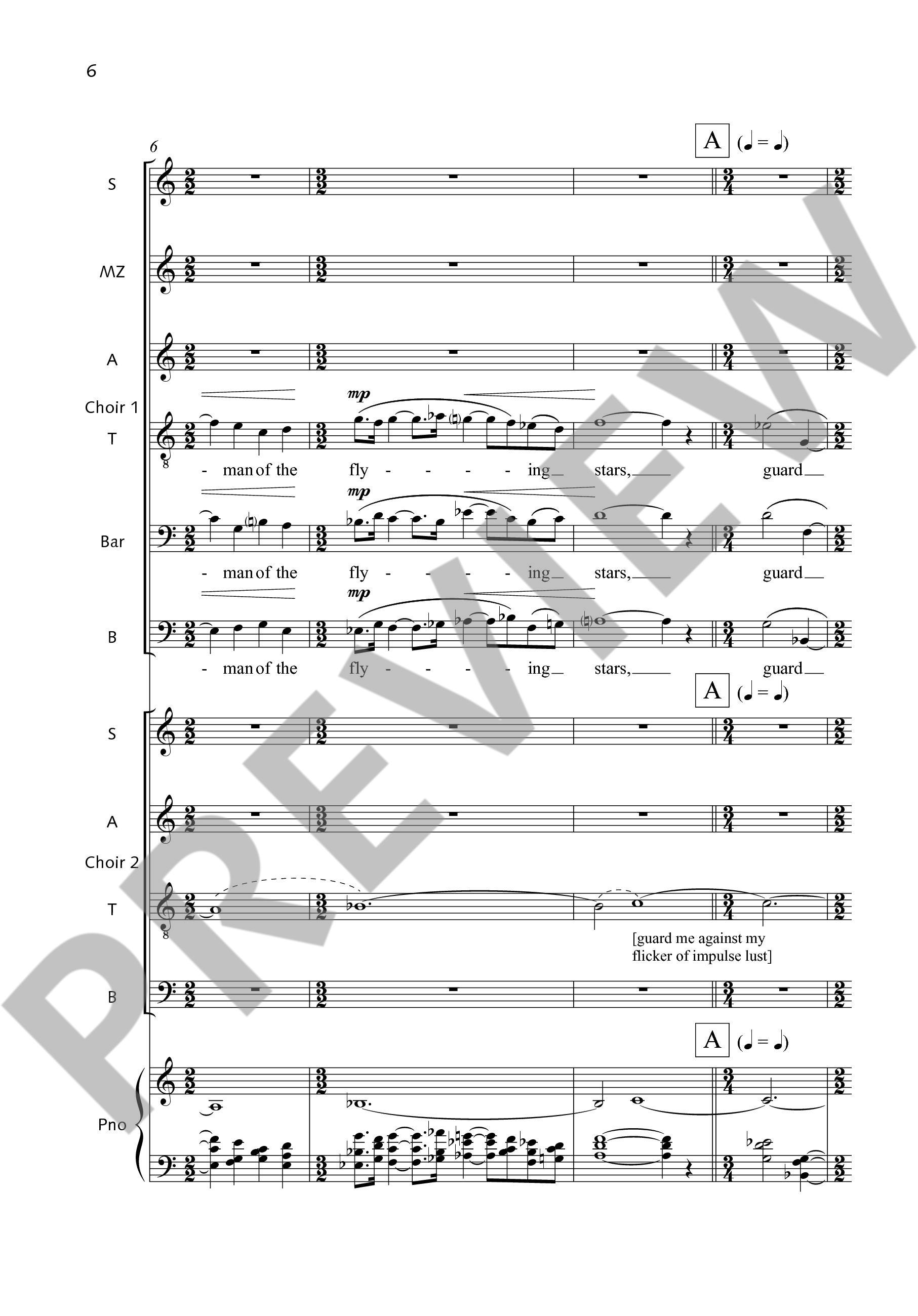 Other Cover Image Sole Watchman of the Flying Stars 