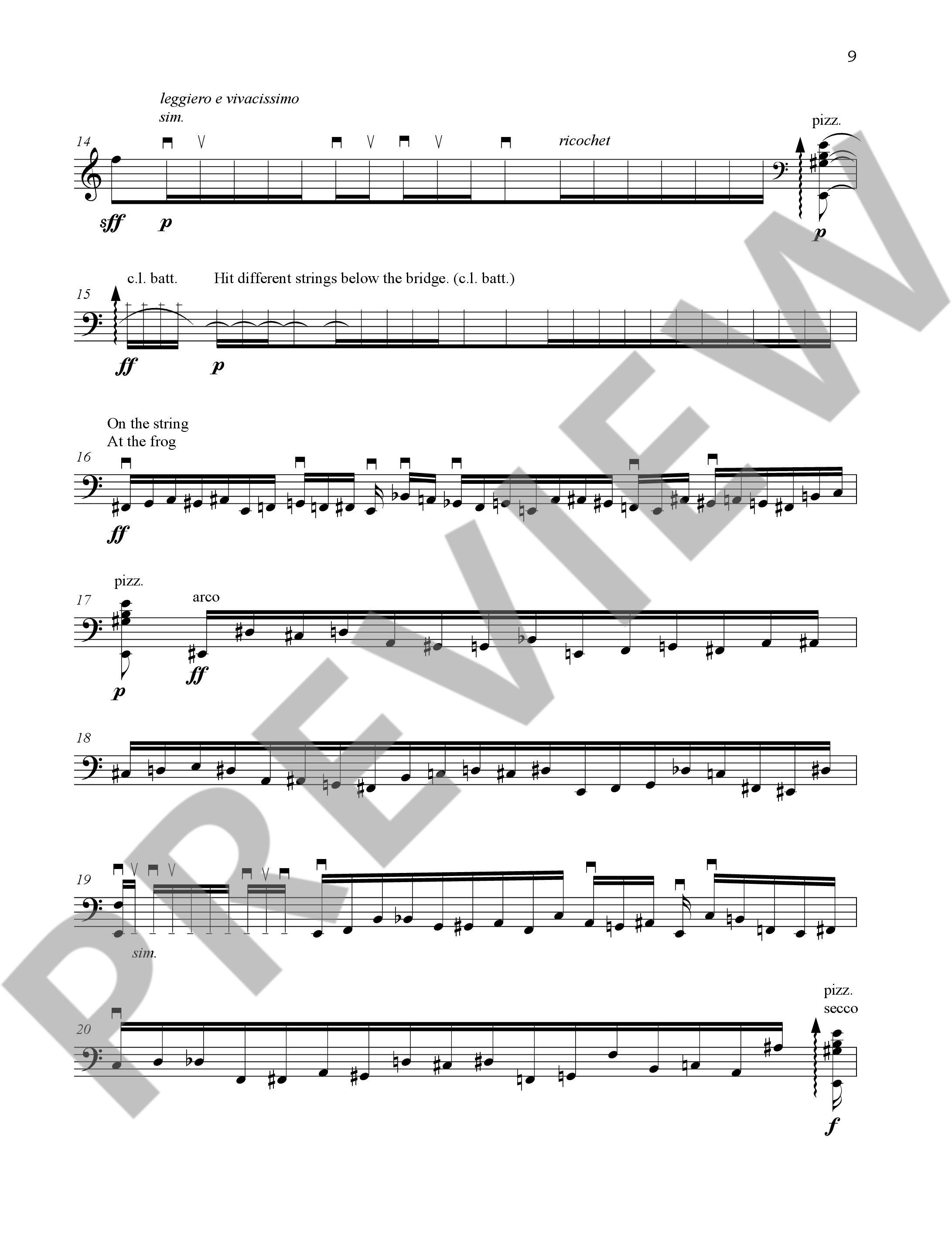 Other Cover Image Capriccio per Siegfried Palm 