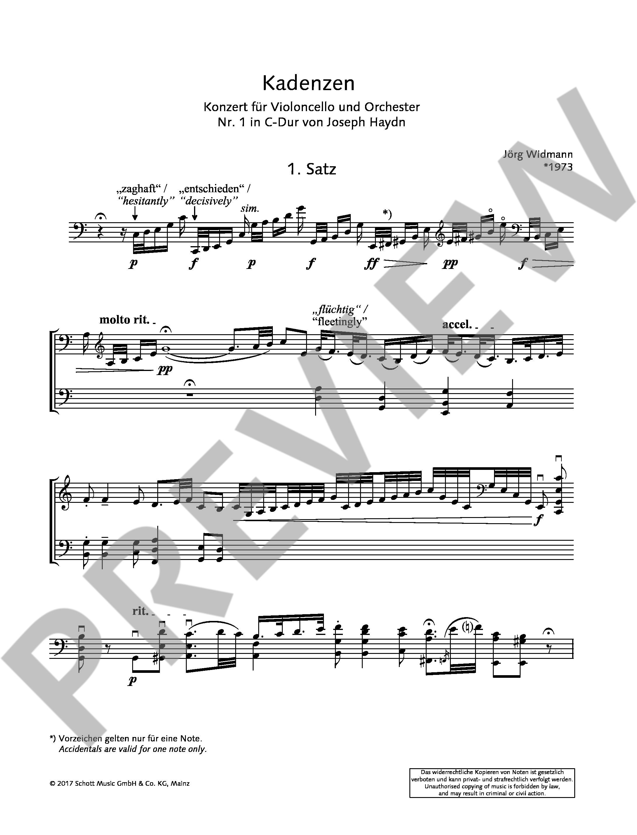 Other Cover Image Kadenzen Hob. VIIb:1 Band 13