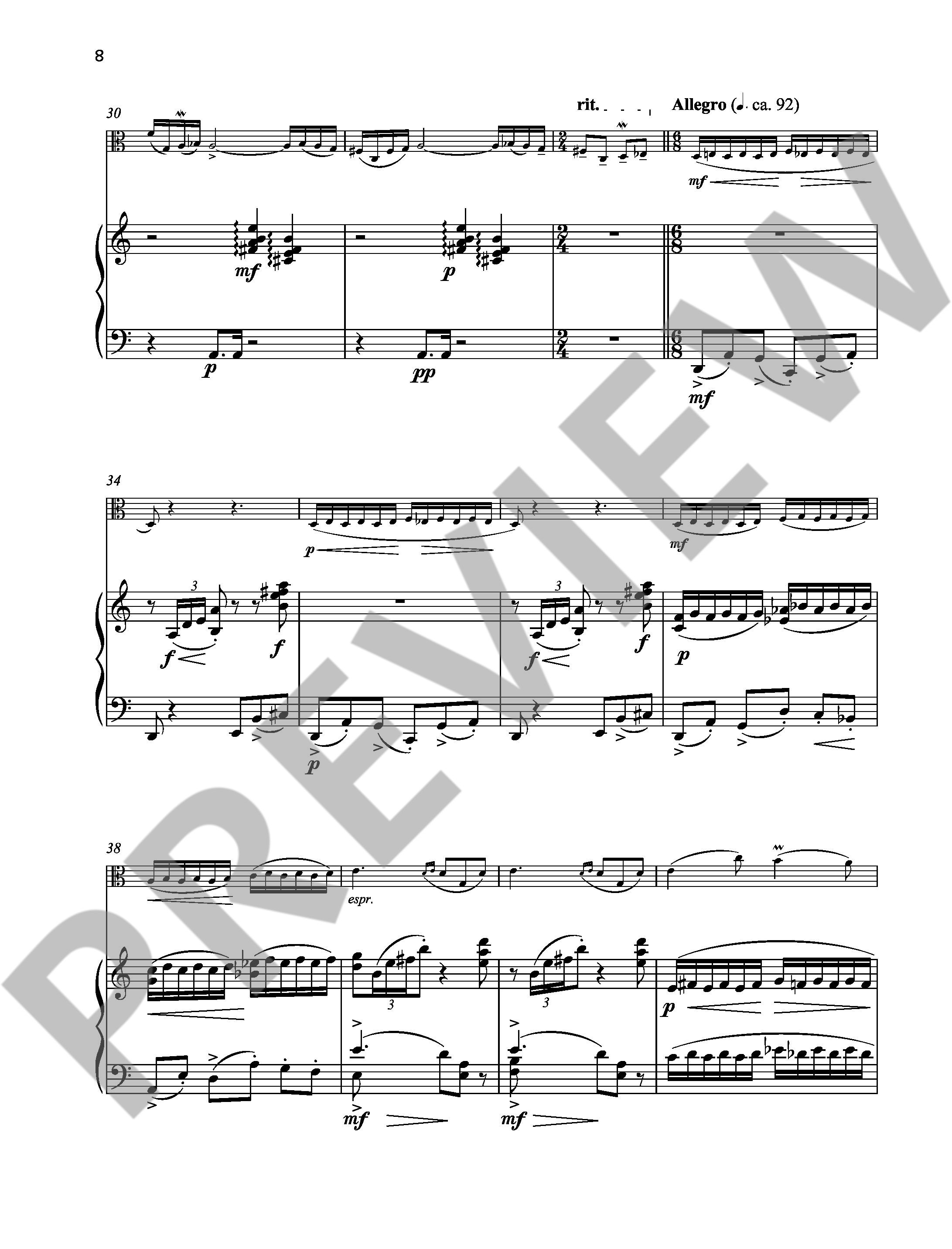 Other Cover Image Fantasia bucolica op. 13f 