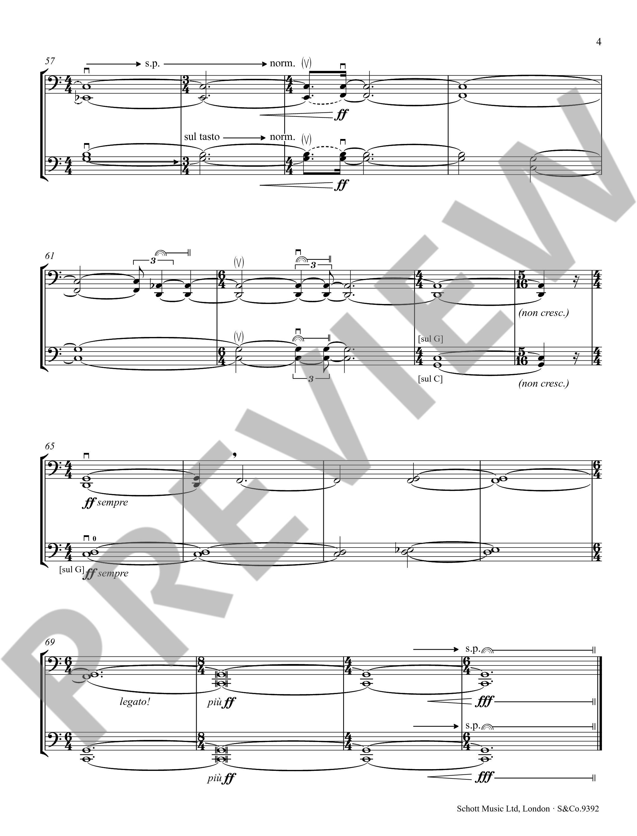 Other Cover Image Ring Dance 