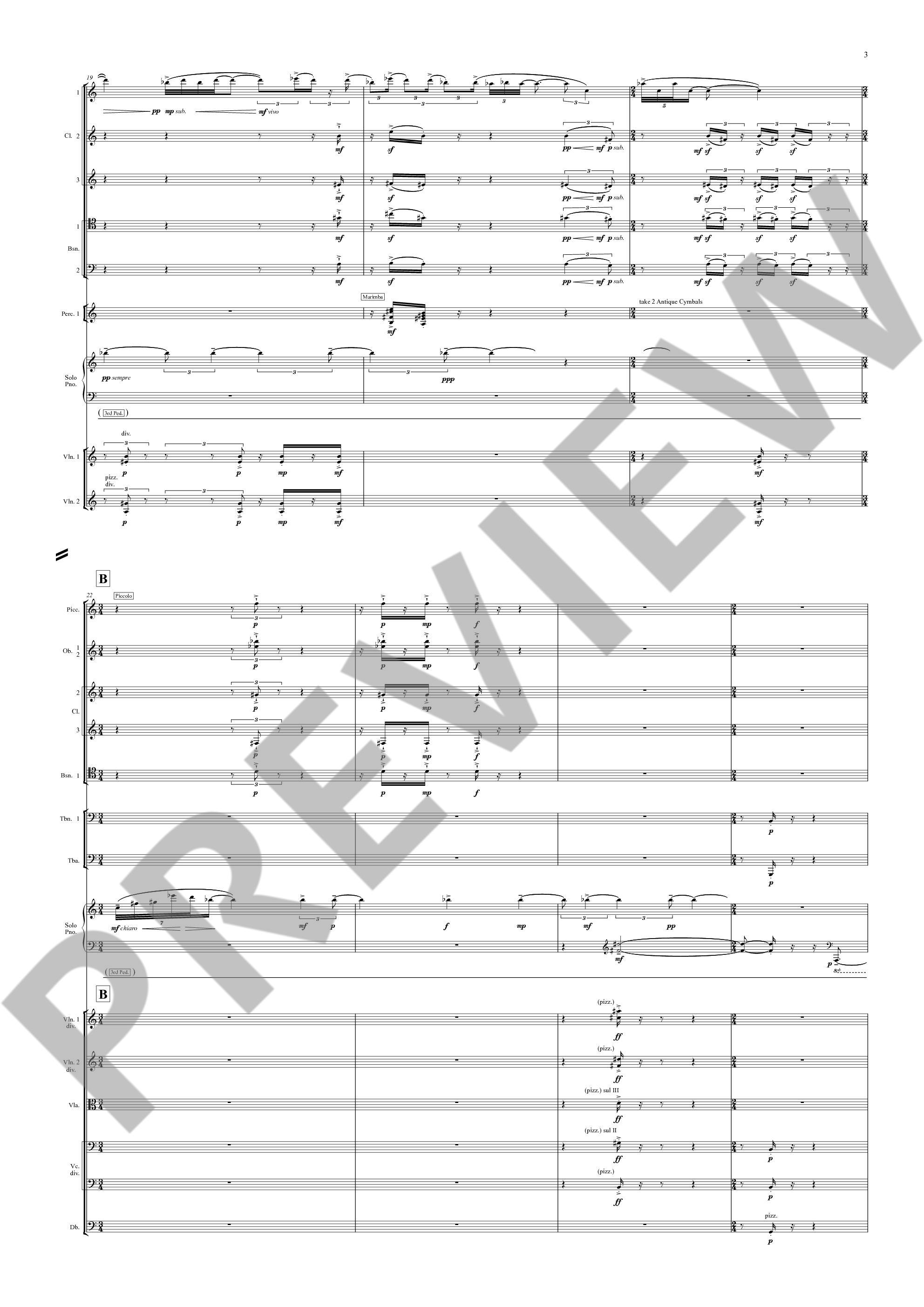 Other Cover Image The Imaginary Museum 