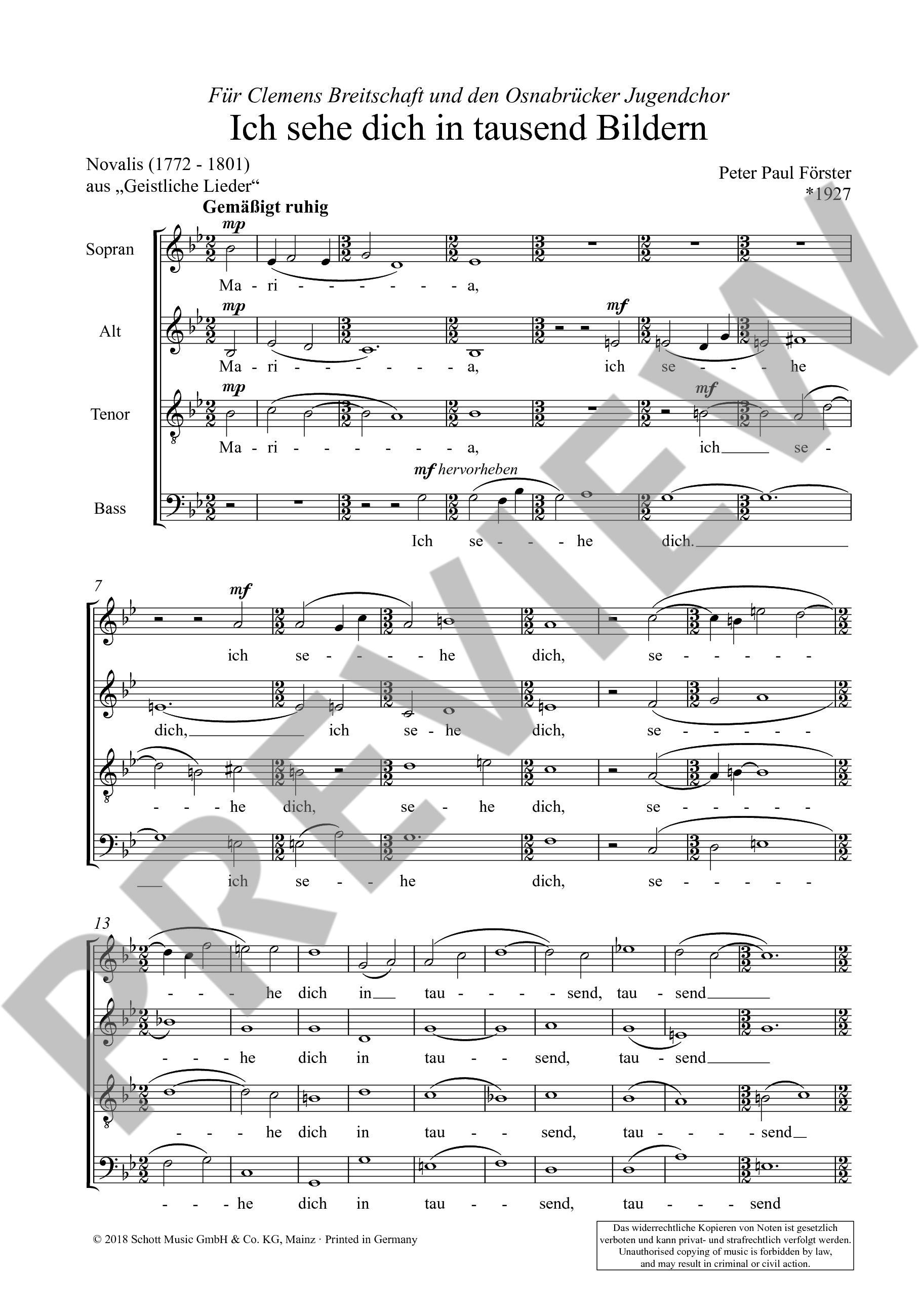 Other Cover Image Ich sehe dich in tausend Bildern 