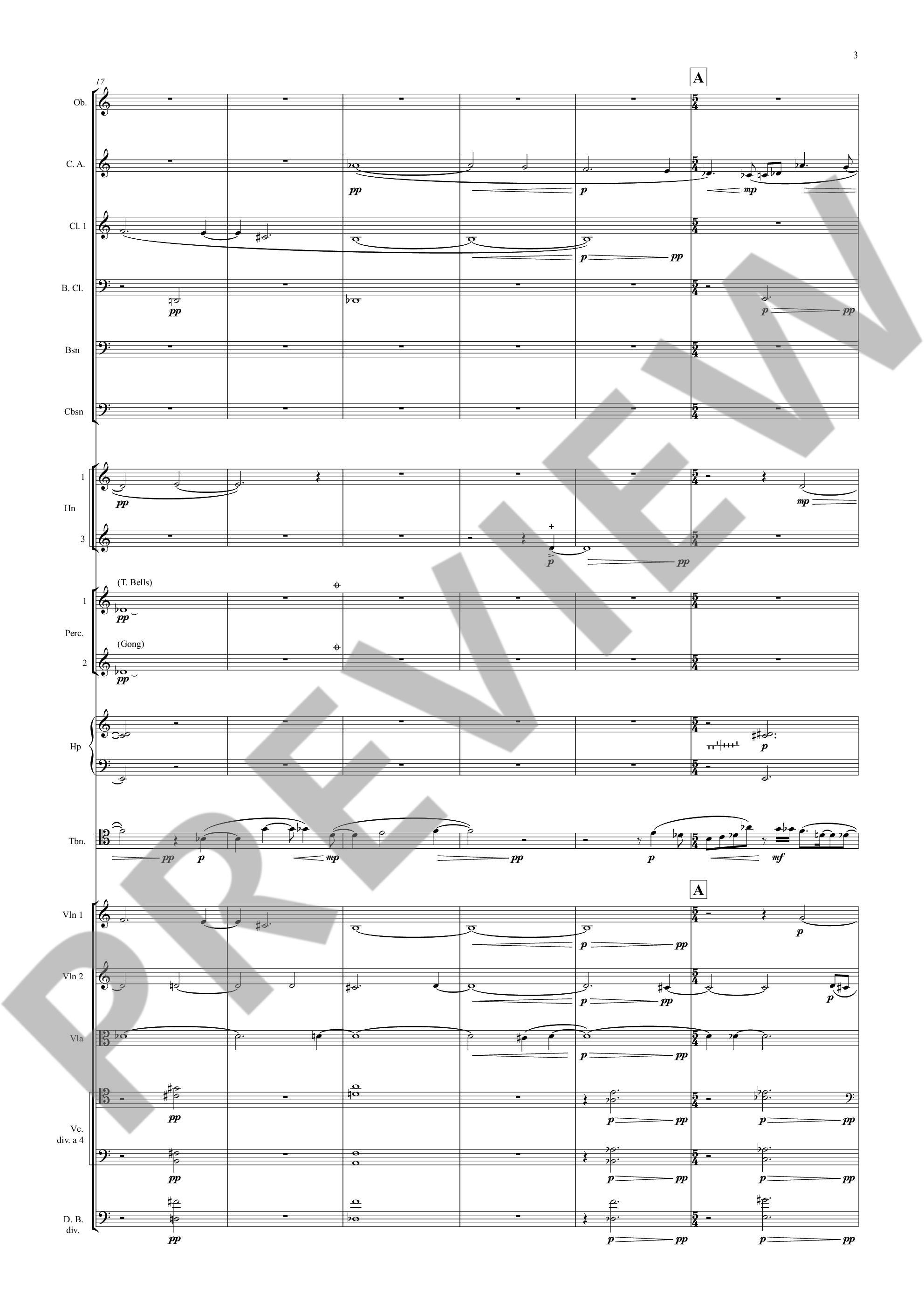 Other Cover Image Madonna of Silence 