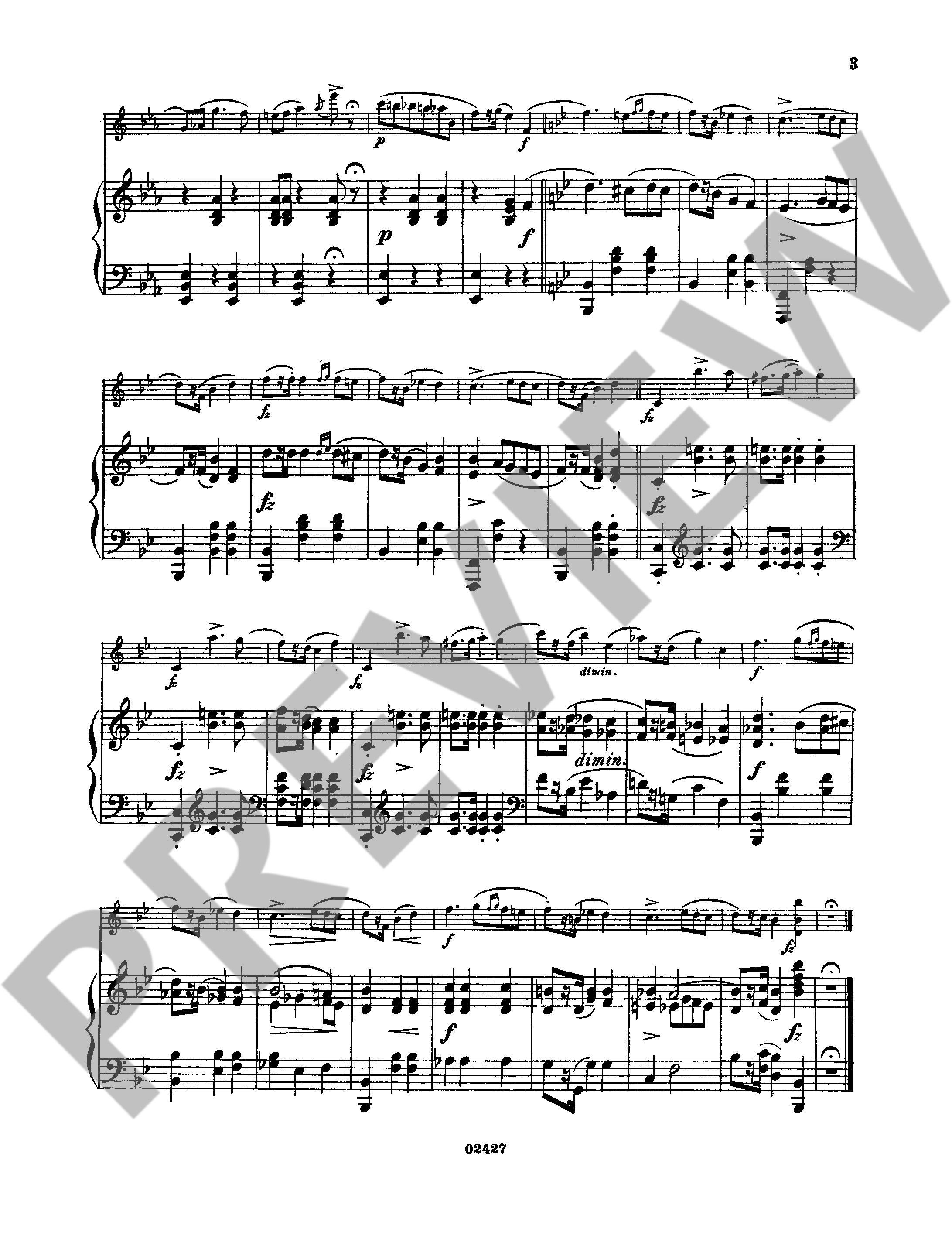 Other Cover Image Mazurka op. 17/1 