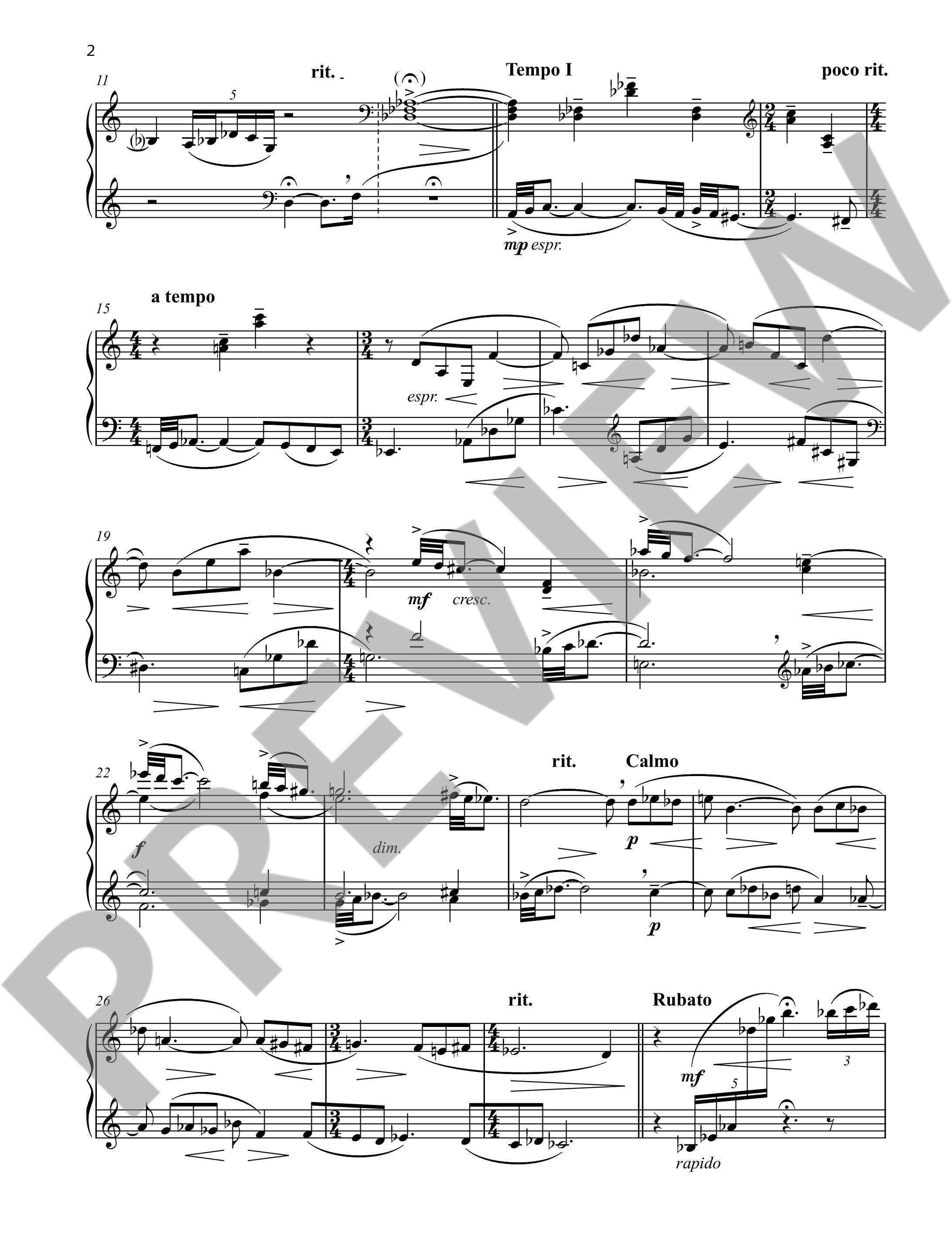 Other Cover Image Pezzo 