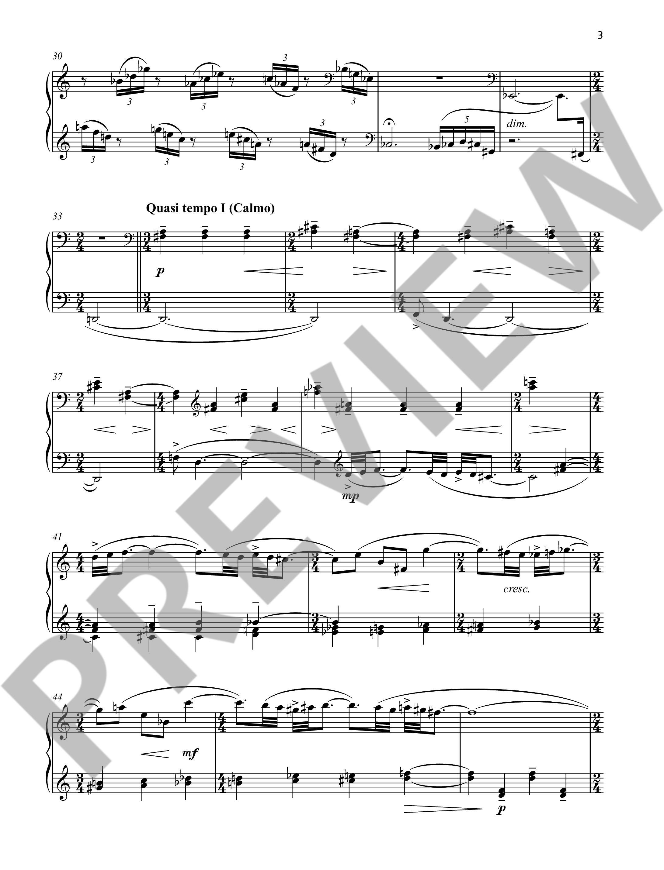 Other Cover Image Pezzo 