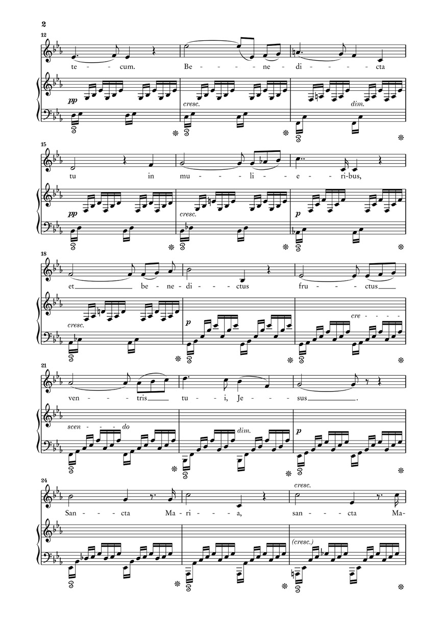 Other Cover Image Ave Maria für Singstimme und Klavier