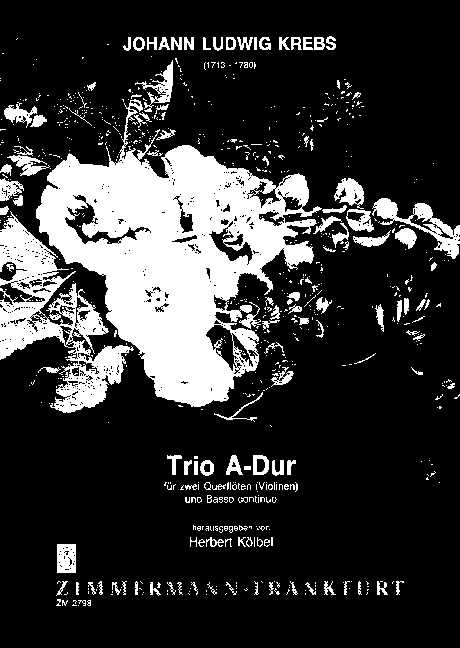 Vorderes Coverbild Trio A-Dur 