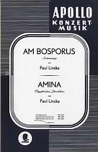 Vorderes Coverbild Am Bosporus / Amina 