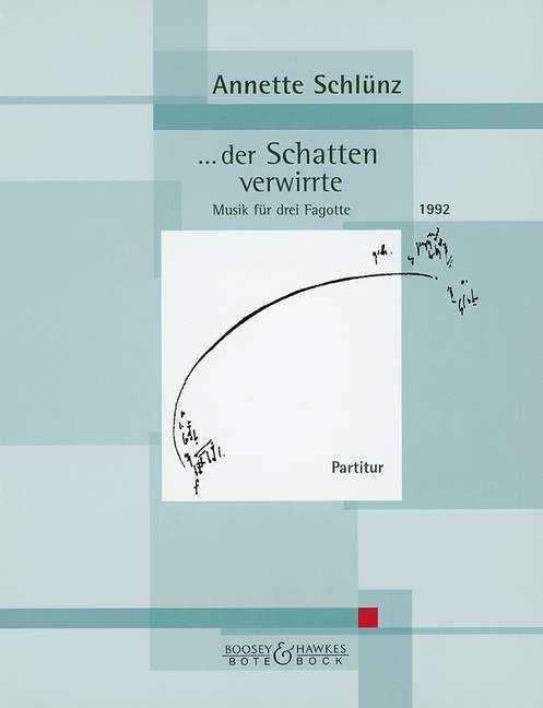 Vorderes Coverbild ...der Schatten verwirrte 
