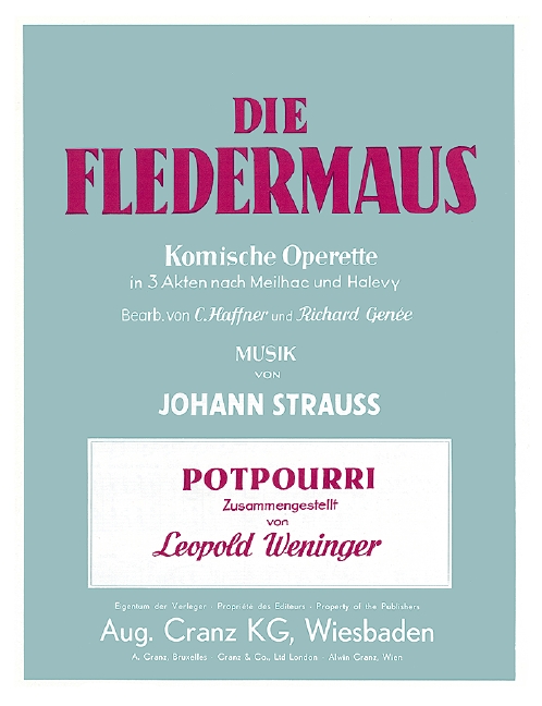 Vorderes Coverbild Die Fledermaus 