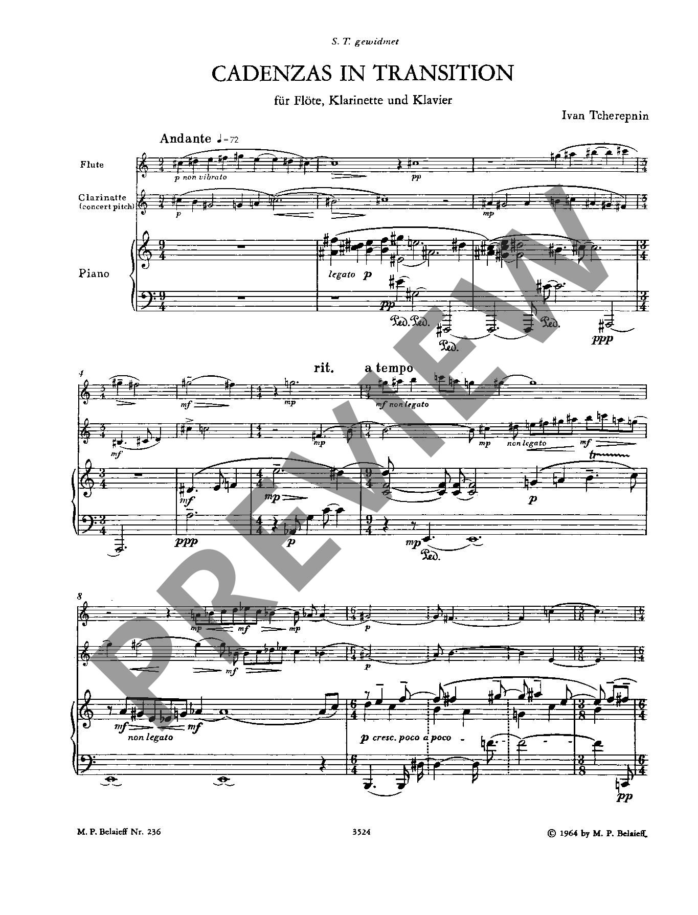 Anderes Coverbild Cadenzas in Transition 