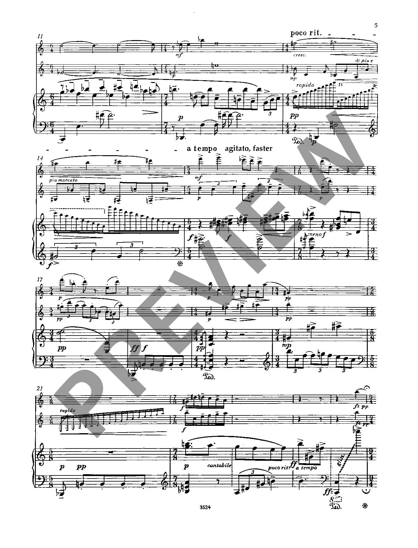 Anderes Coverbild Cadenzas in Transition 