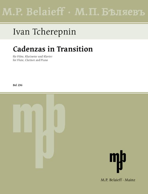 Vorderes Coverbild Cadenzas in Transition 