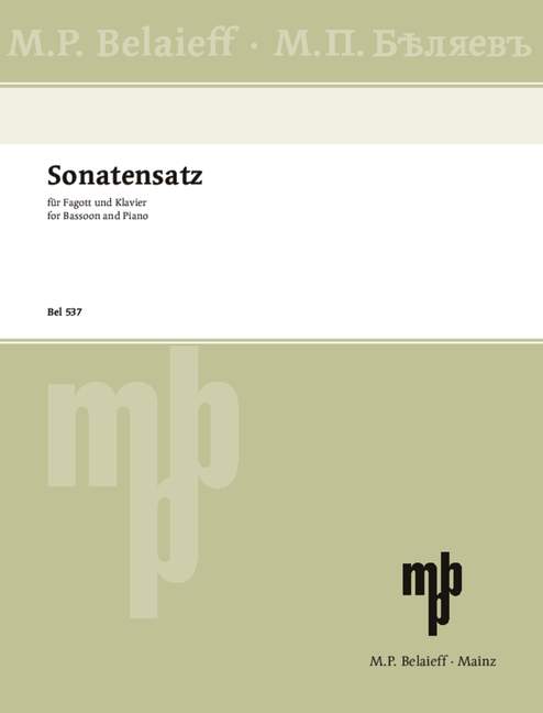 Vorderes Coverbild Sonatensatz g-Moll 