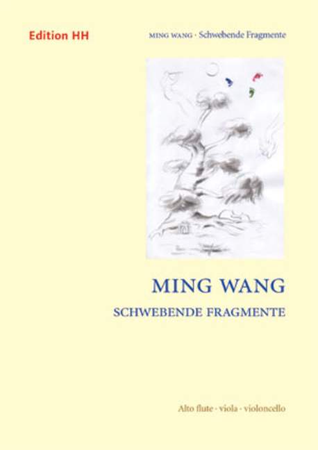 Vorderes Coverbild Schwebende Fragmente 