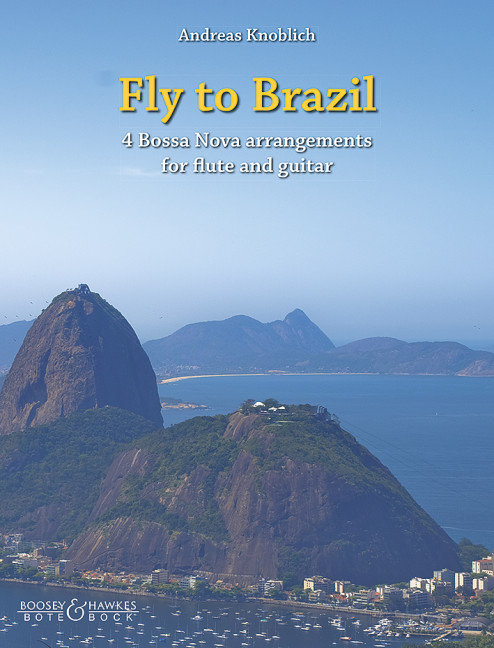 Vorderes Coverbild Fly to Brazil 