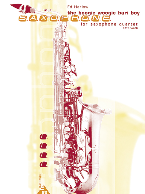 Vorderes Coverbild The Boogie Woogie Bari Boy 