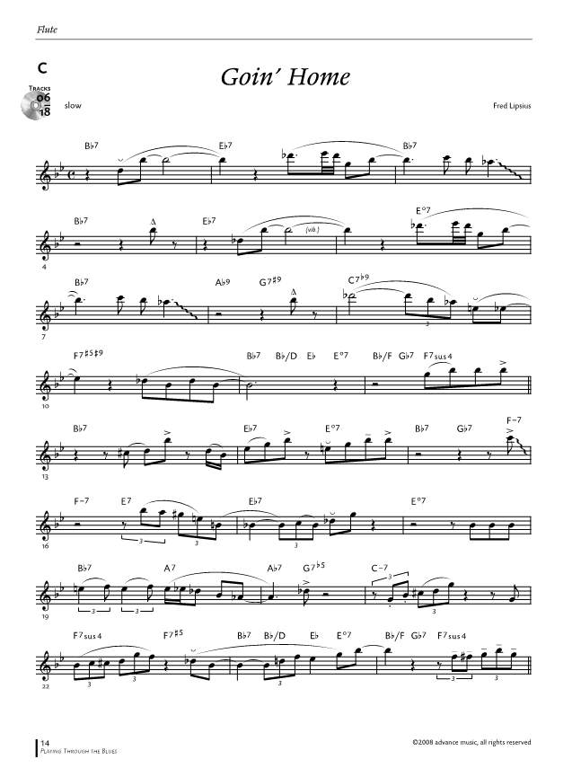 Anderes Coverbild Playing Through the Blues - Flute 