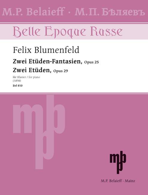Vorderes Coverbild Zwei Etüden-Fantasien - Zwei Etüden op. 25 + 29 