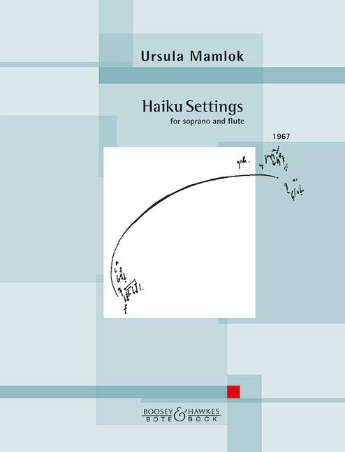 Vorderes Coverbild Haiku Settings 